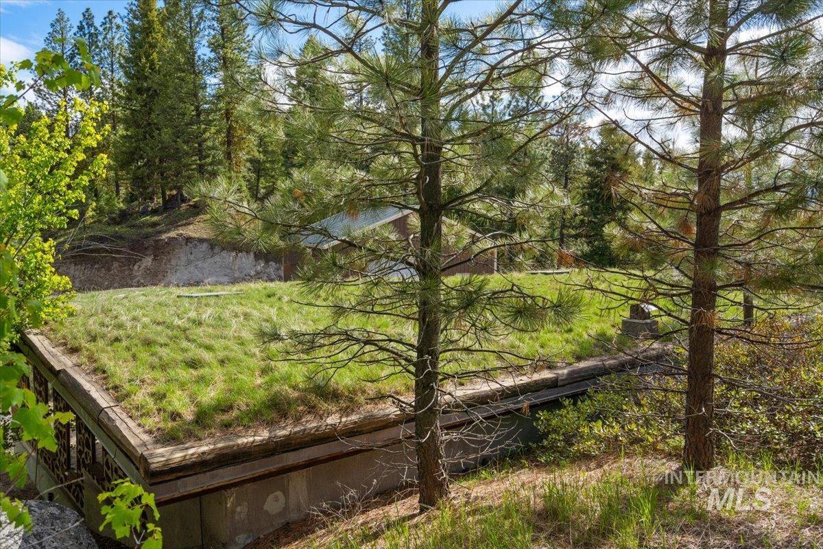 67 Little Donner Drive, Cascade, Idaho 83611, Residential For Sale, Price $1,795,000, 98948533