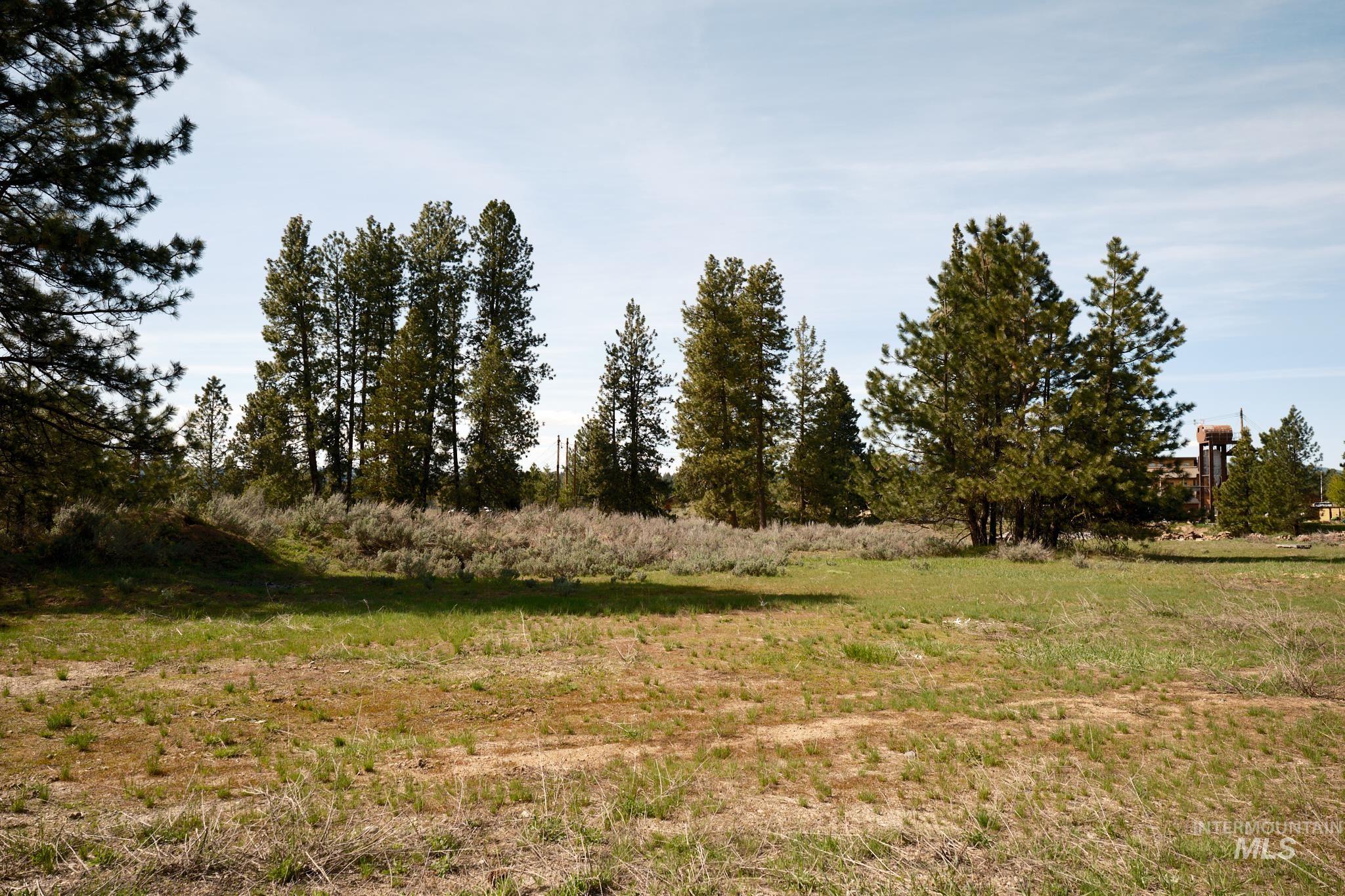 1001 S Mission, McCall, Idaho 83638, Land For Sale, Price $6,192,000, 98948560