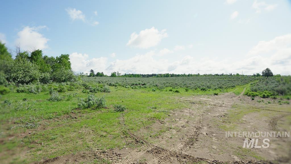 1555 Sadorus Hill Road, Ashton, Idaho 83420, Land For Sale, Price $25,000,000, 98948571
