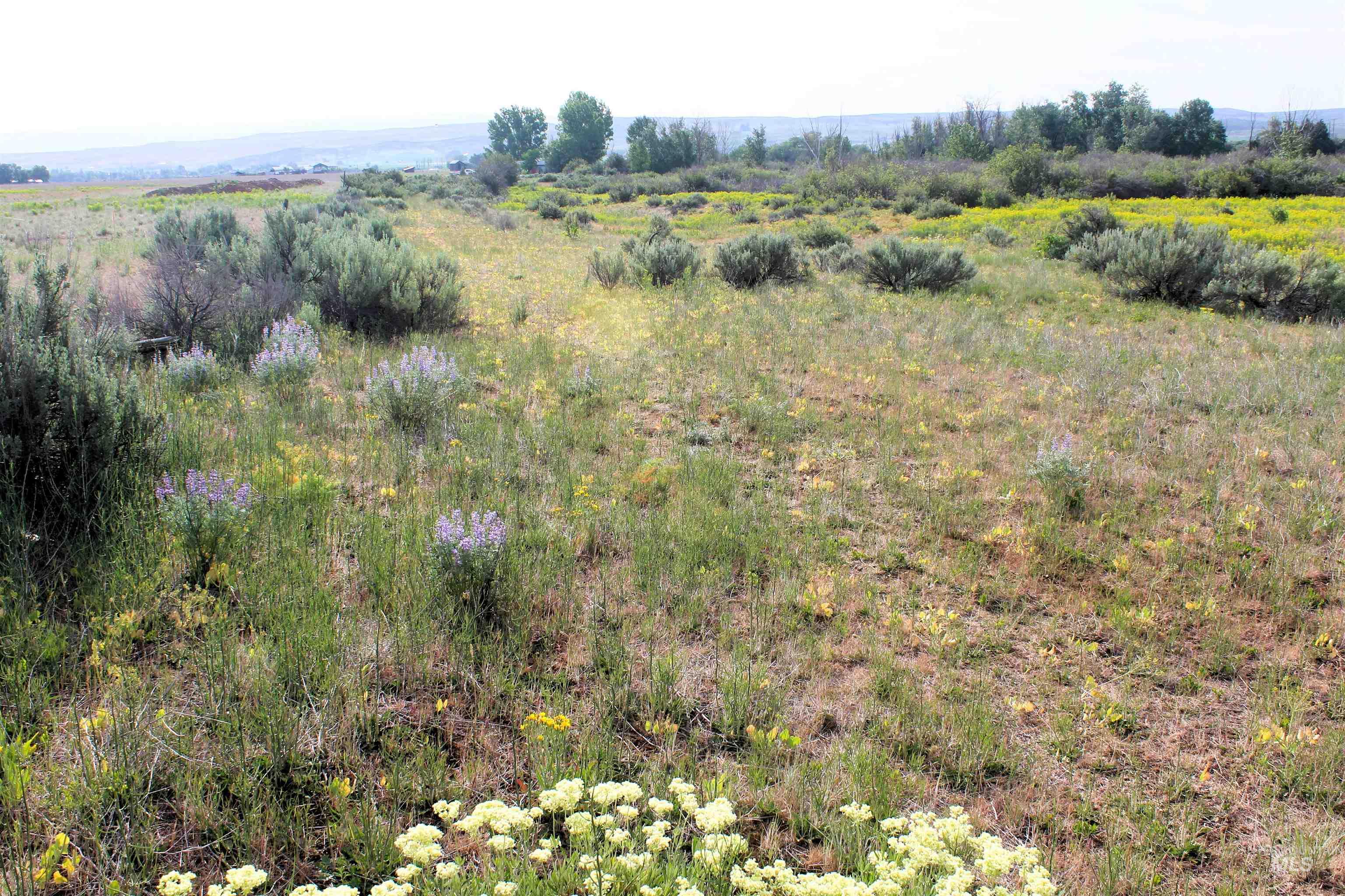 TBD Sage Creek Rd. (Parcel A), Midvale, Idaho 83645, Land For Sale, Price $170,500, 98948698