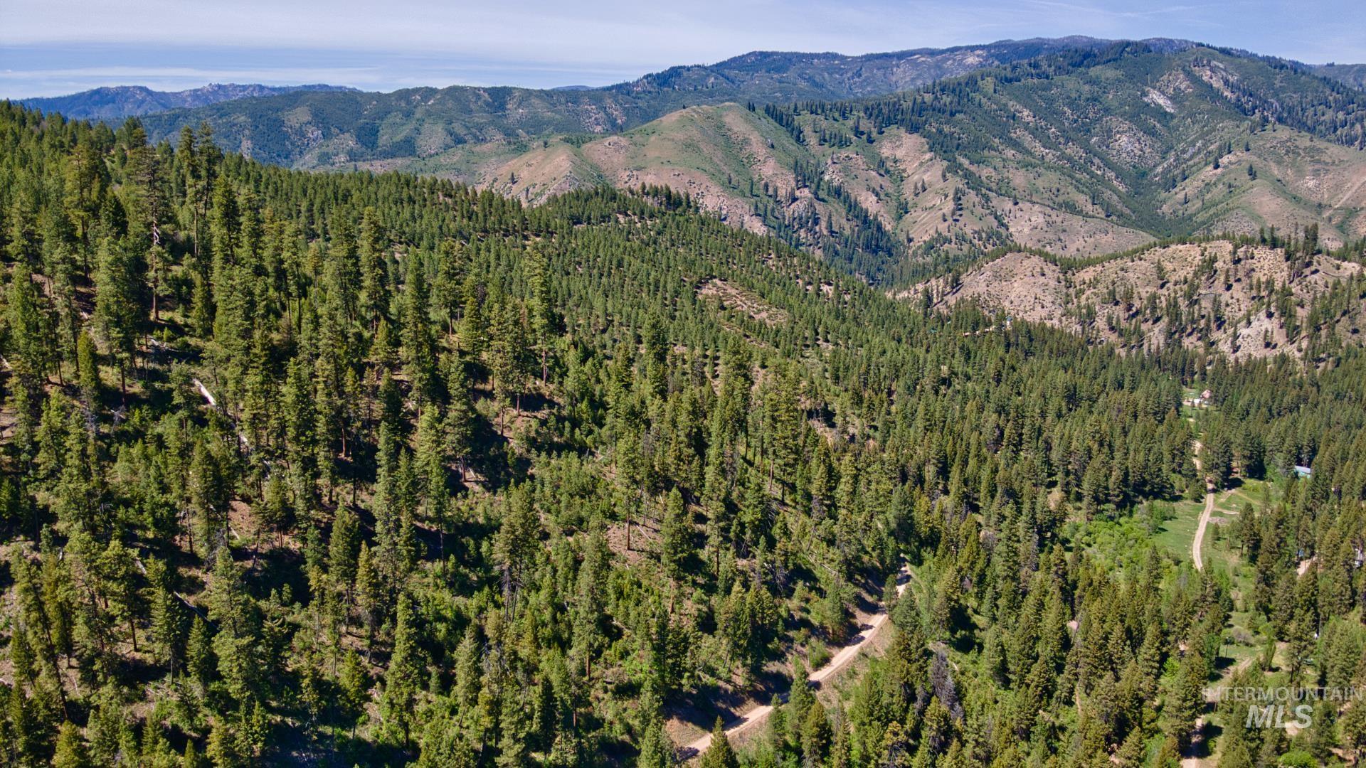 TBD FOREST SERVICE ROAD 542, Lowman, Idaho 83637, Land For Sale, Price $39,900, 98948703