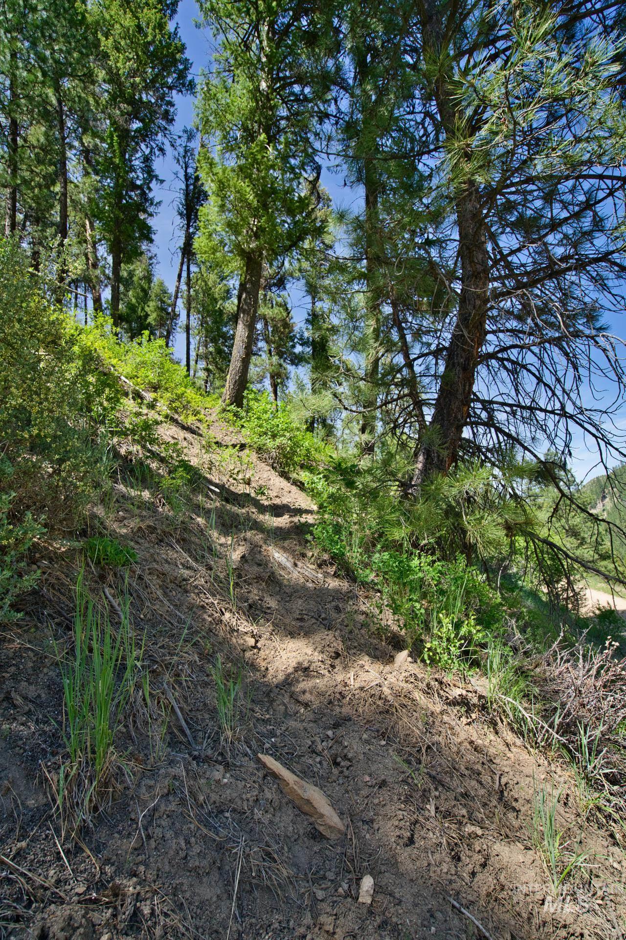 TBD FOREST SERVICE ROAD 542, Lowman, Idaho 83637, Land For Sale, Price $39,900, 98948703