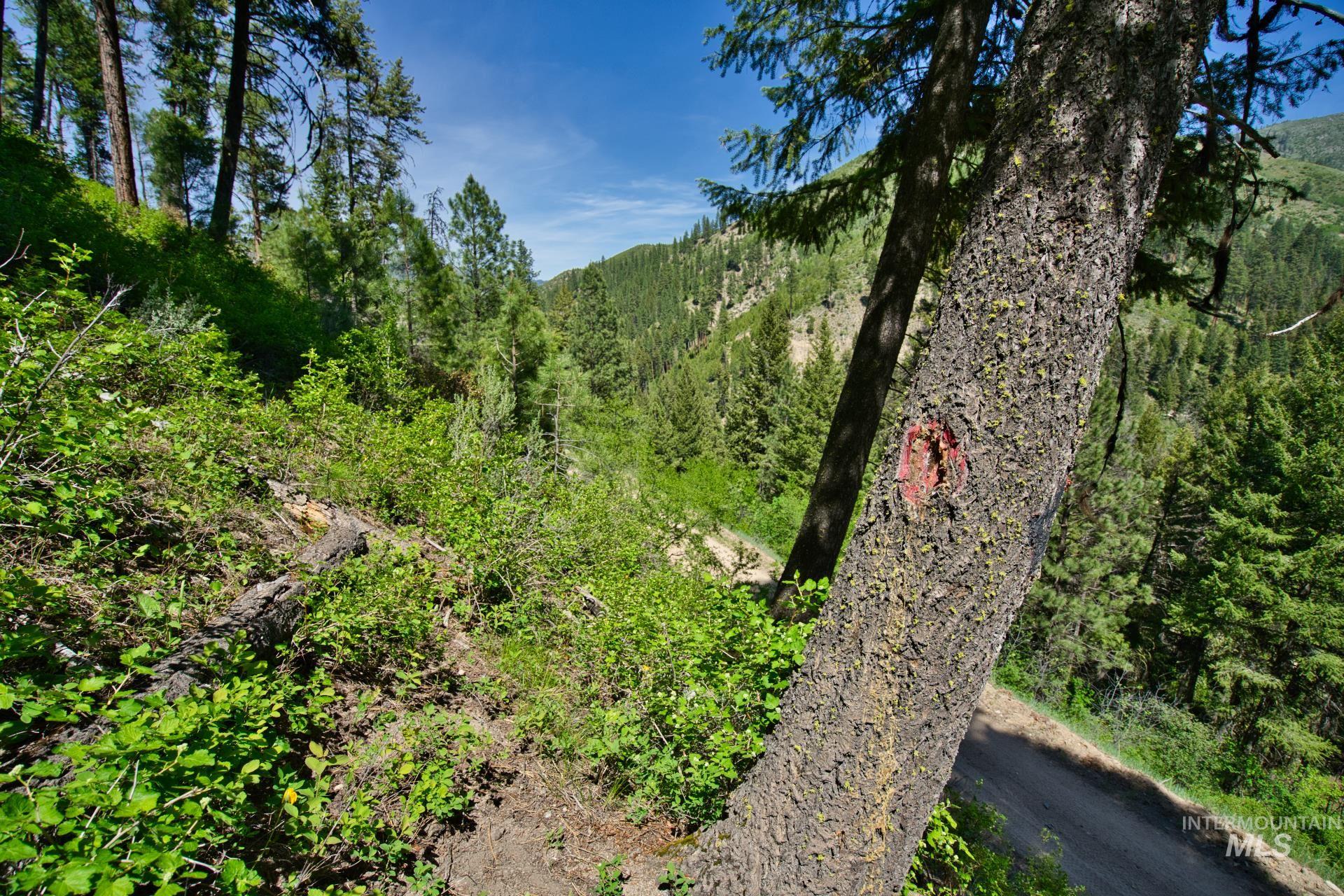 TBD FOREST SERVICE ROAD 542, Lowman, Idaho 83637, Land For Sale, Price $39,900, 98948703
