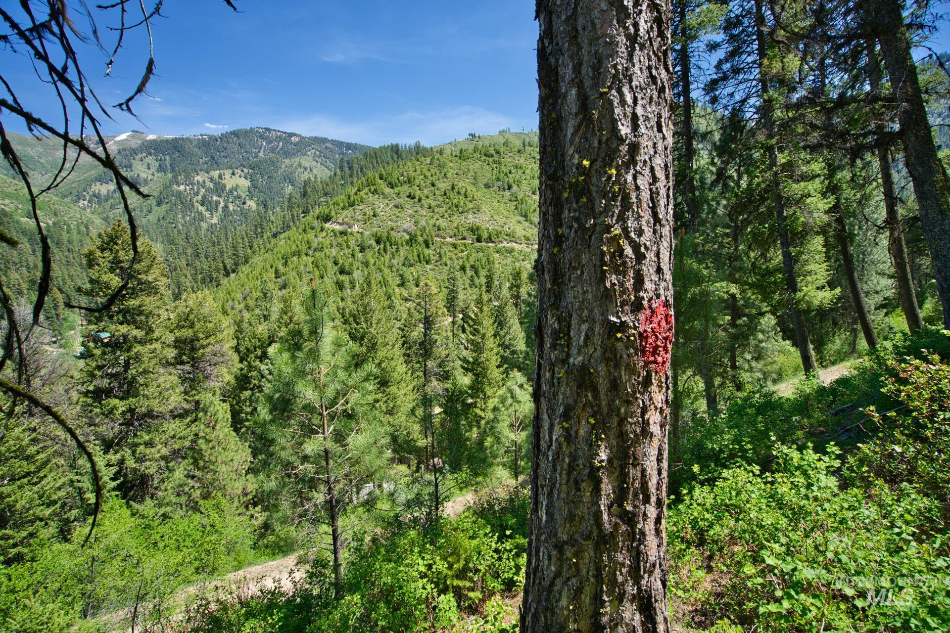 TBD FOREST SERVICE ROAD 542, Lowman, Idaho 83637, Land For Sale, Price $39,900, 98948703