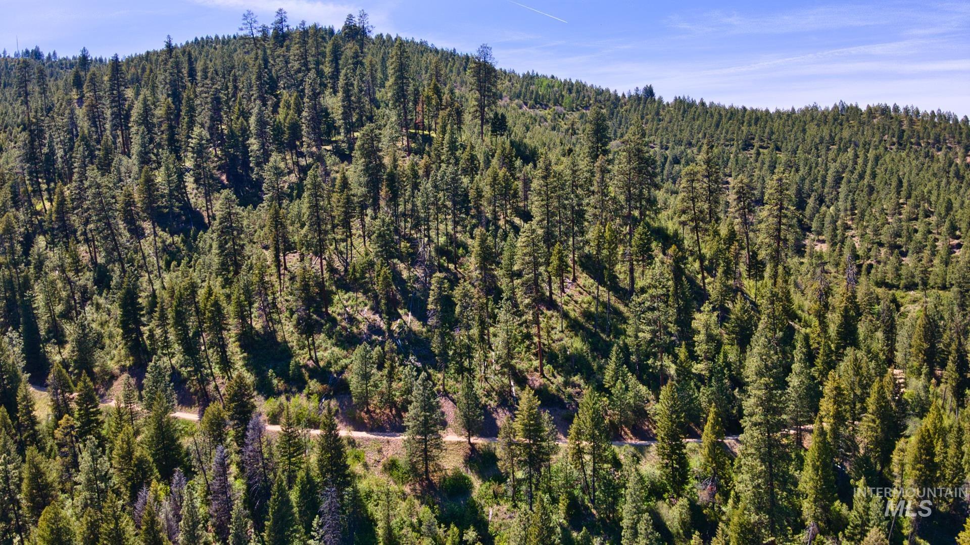 TBD FOREST SERVICE ROAD 542, Lowman, Idaho 83637, Land For Sale, Price $39,900, 98948703