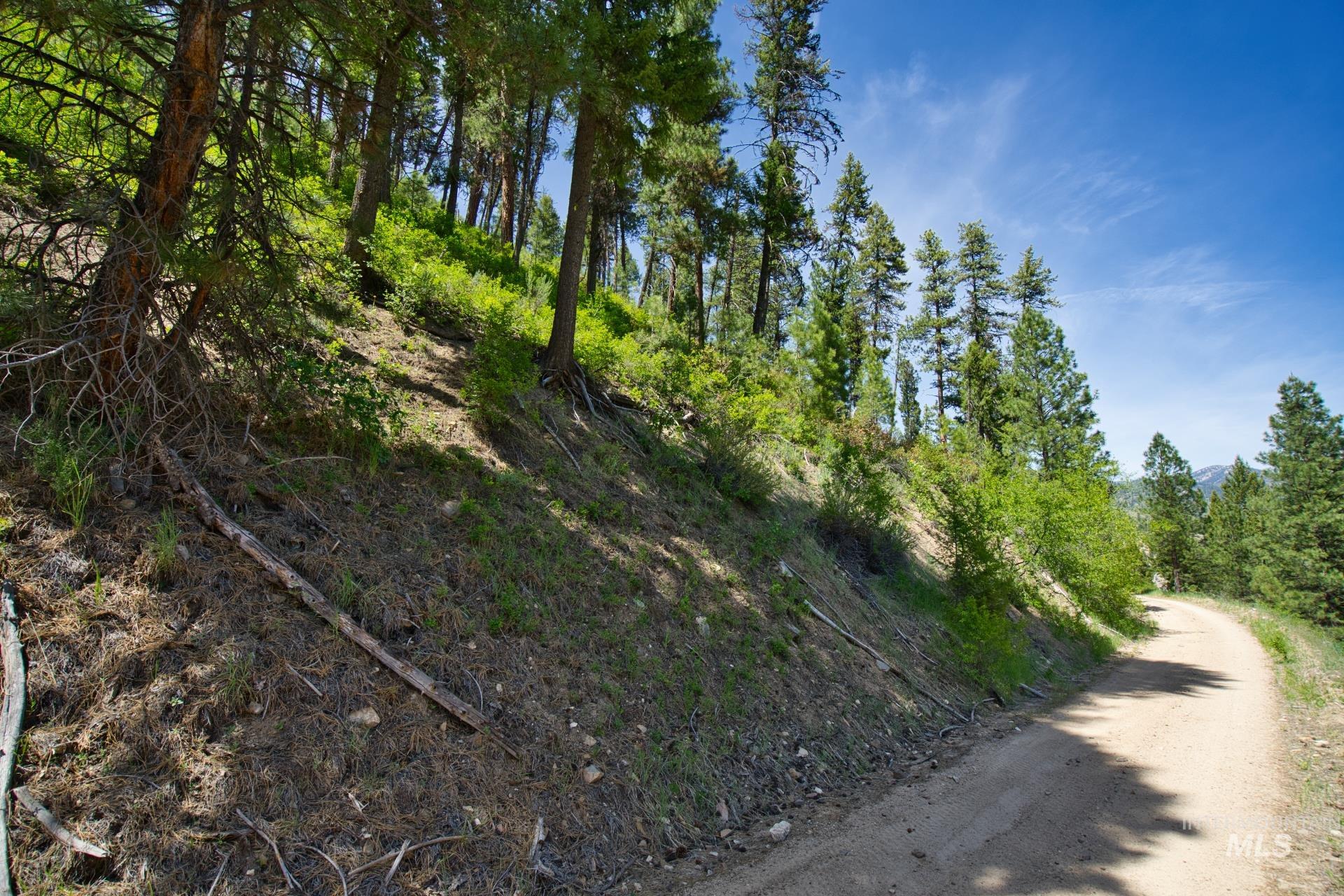 TBD FOREST SERVICE ROAD 542, Lowman, Idaho 83637, Land For Sale, Price $39,900, 98948703