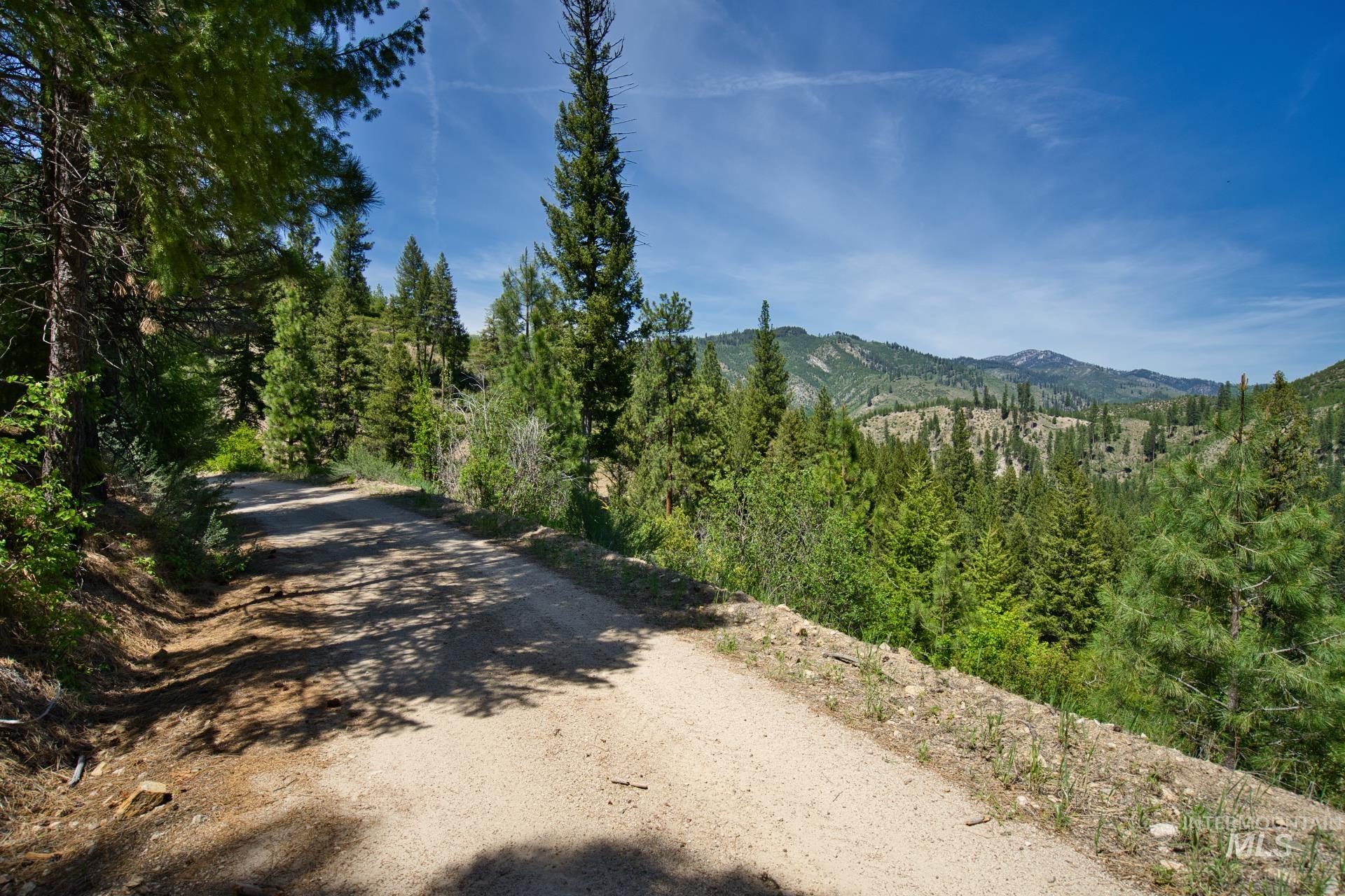 TBD FOREST SERVICE ROAD 542, Lowman, Idaho 83637, Land For Sale, Price $39,900, 98948703