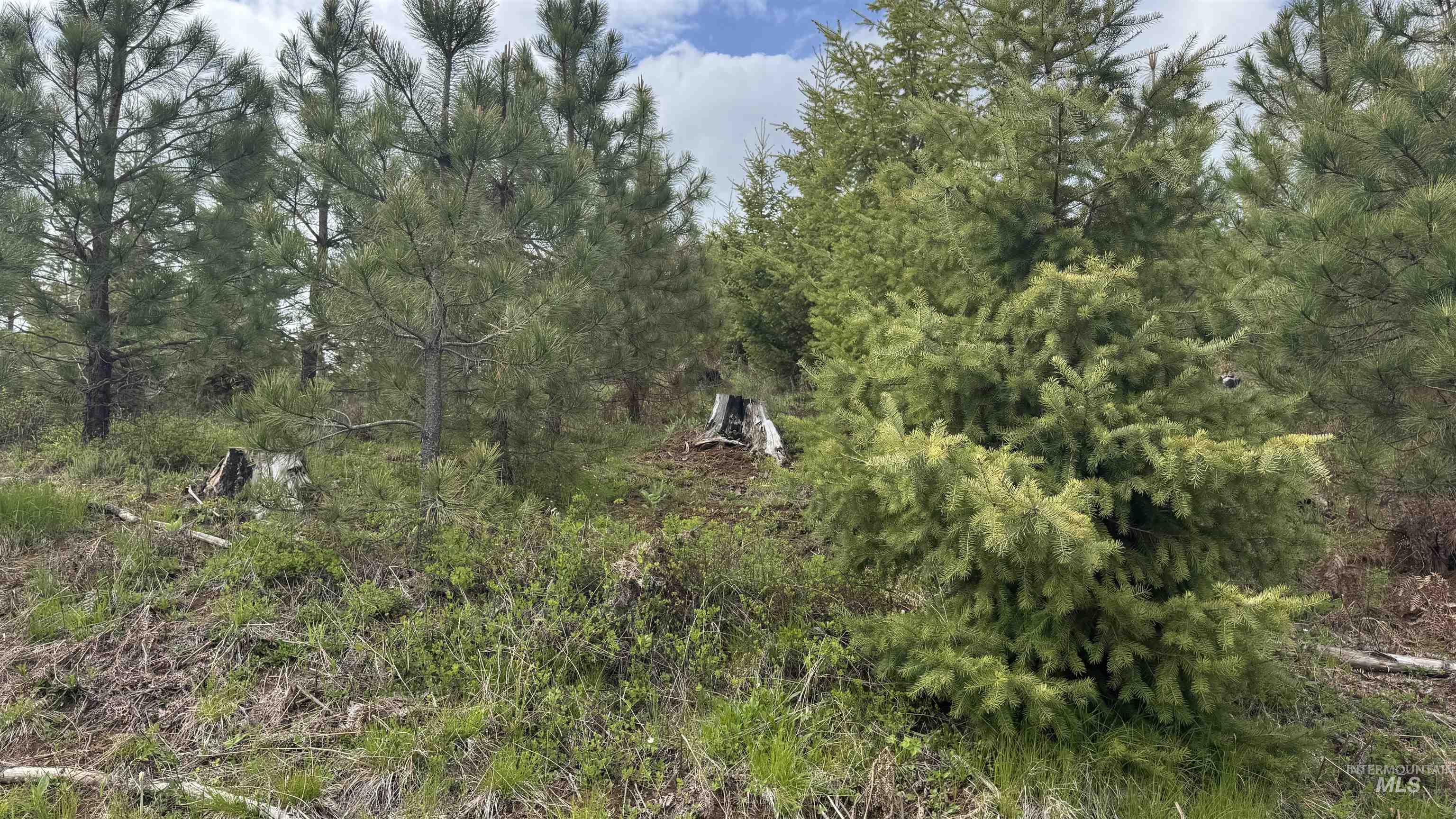 TBD Badger Ridge Dr Parcel 3, Orofino, Idaho 83544, Land For Sale, Price $213,900, 98948740