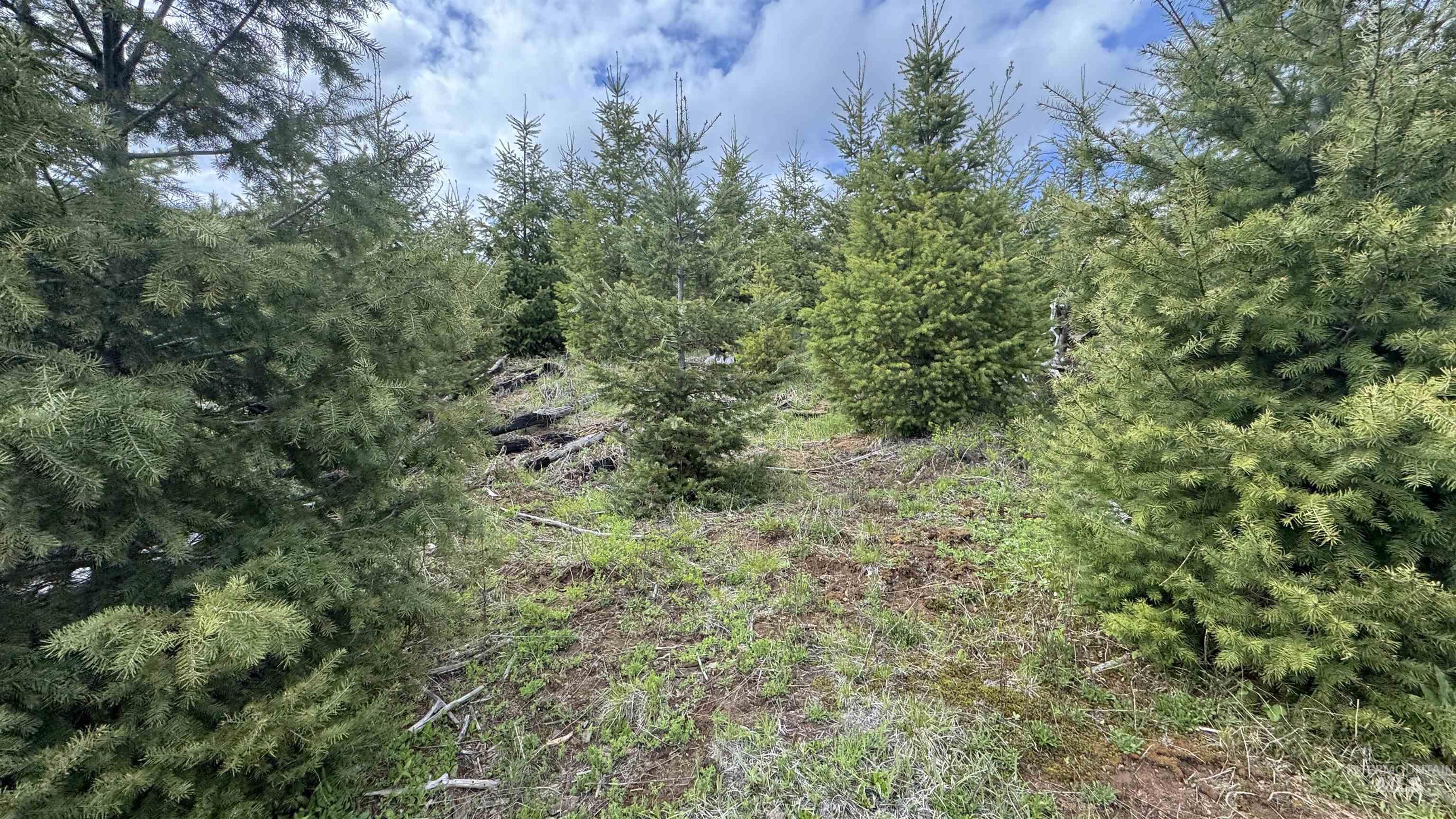 TBD Badger Ridge Dr Parcel 3, Orofino, Idaho 83544, Land For Sale, Price $213,900, 98948740