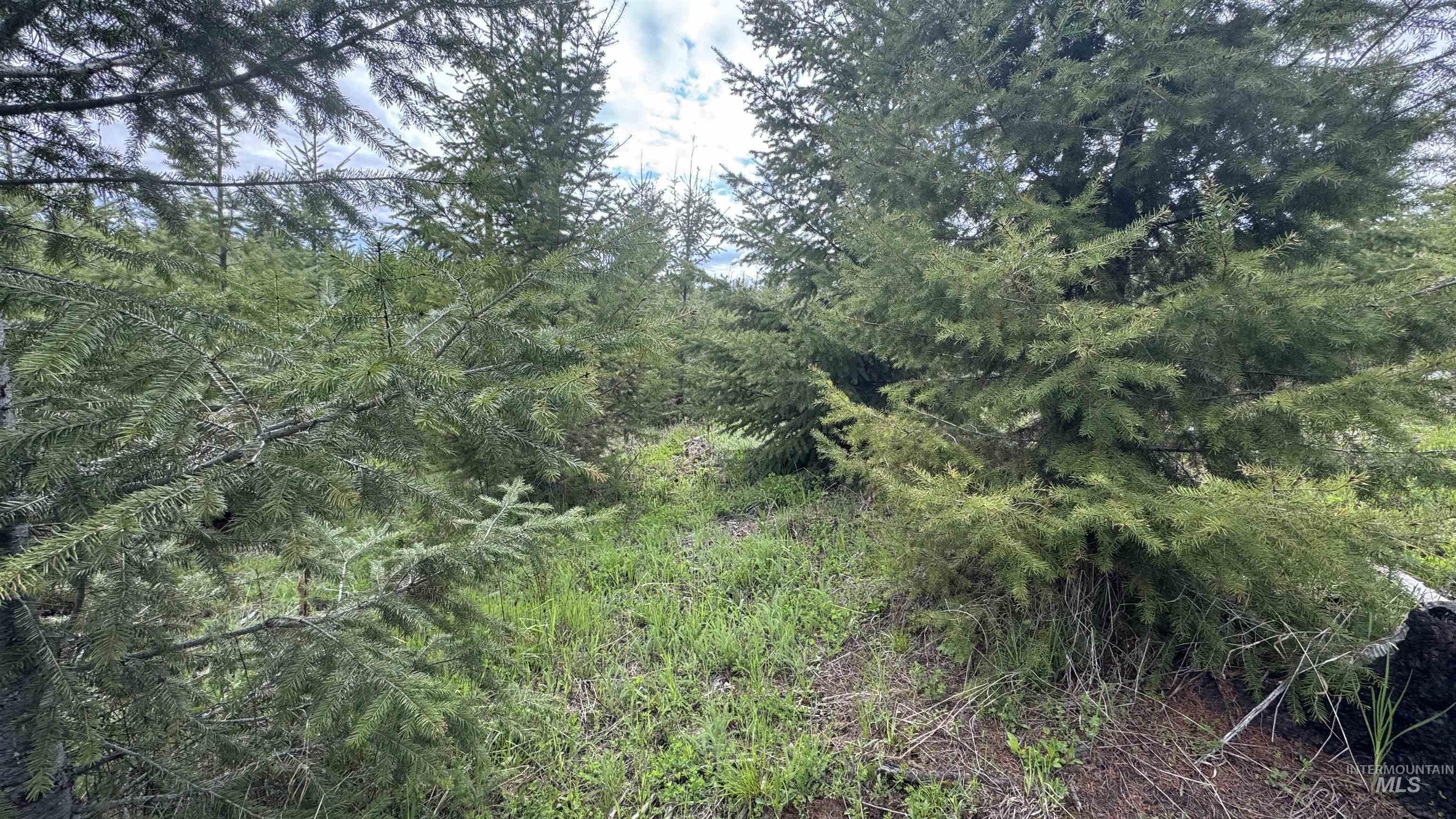 TBD Badger Ridge Dr Parcel 3, Orofino, Idaho 83544, Land For Sale, Price $213,900, 98948740