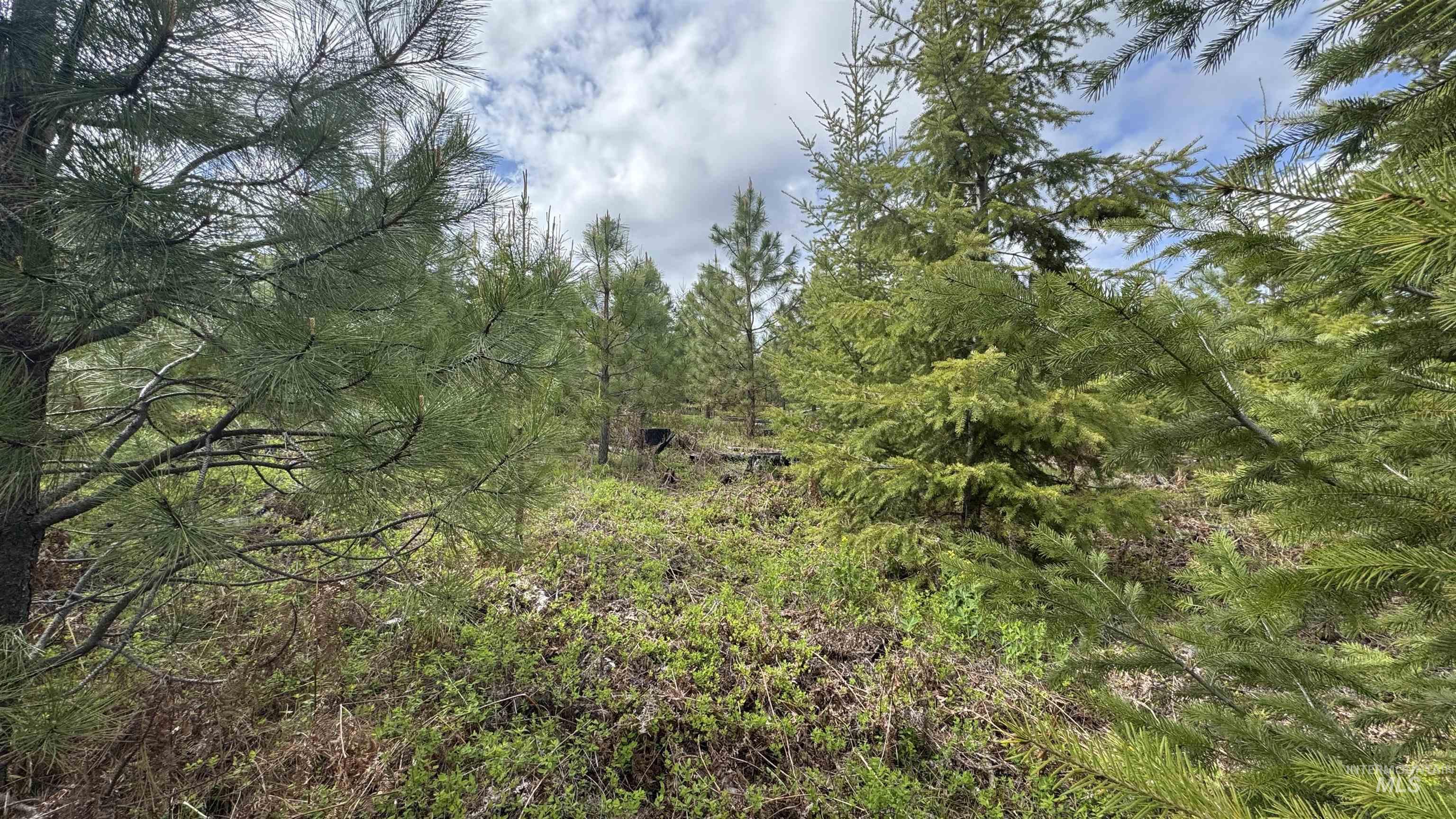 TBD Badger Ridge Dr Parcel 3, Orofino, Idaho 83544, Land For Sale, Price $213,900, 98948740