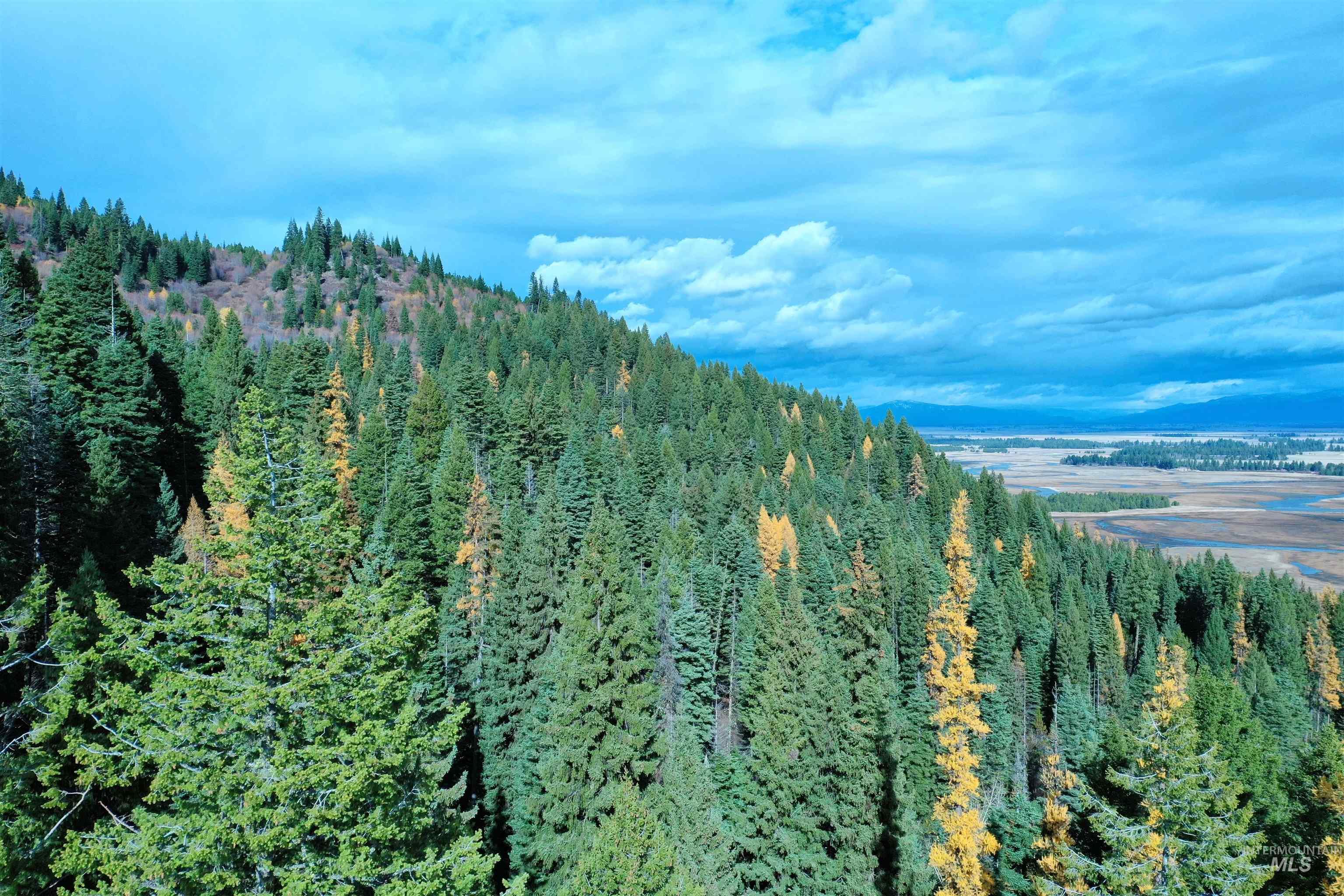 2437 Maverick Rd, Donnelly, Idaho 83615, Land For Sale, Price $3,200,000, 98948772