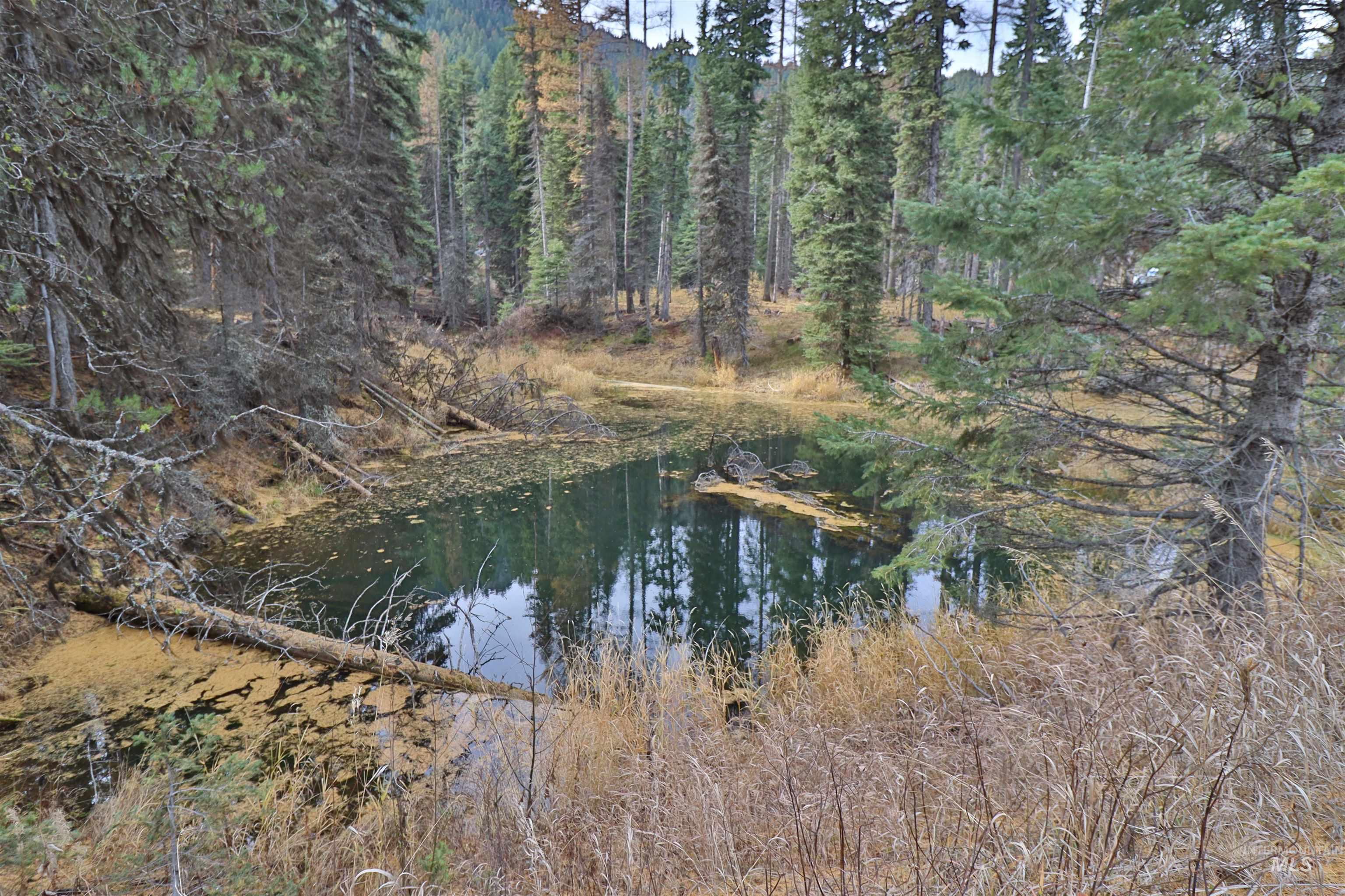 2437 Maverick Rd, Donnelly, Idaho 83615, Land For Sale, Price $3,200,000, 98948772