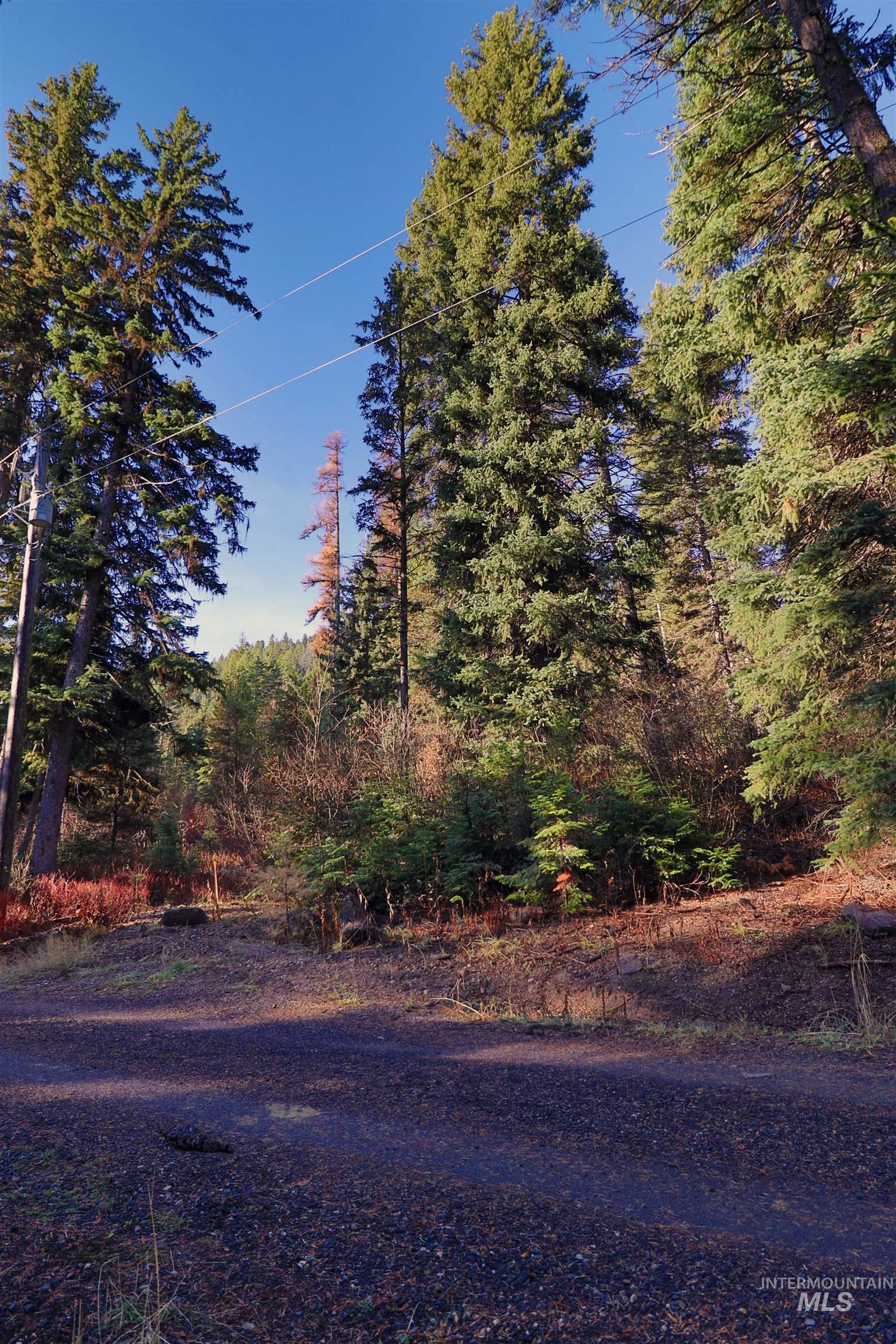 2437 Maverick Rd, Donnelly, Idaho 83615, Land For Sale, Price $3,200,000, 98948772