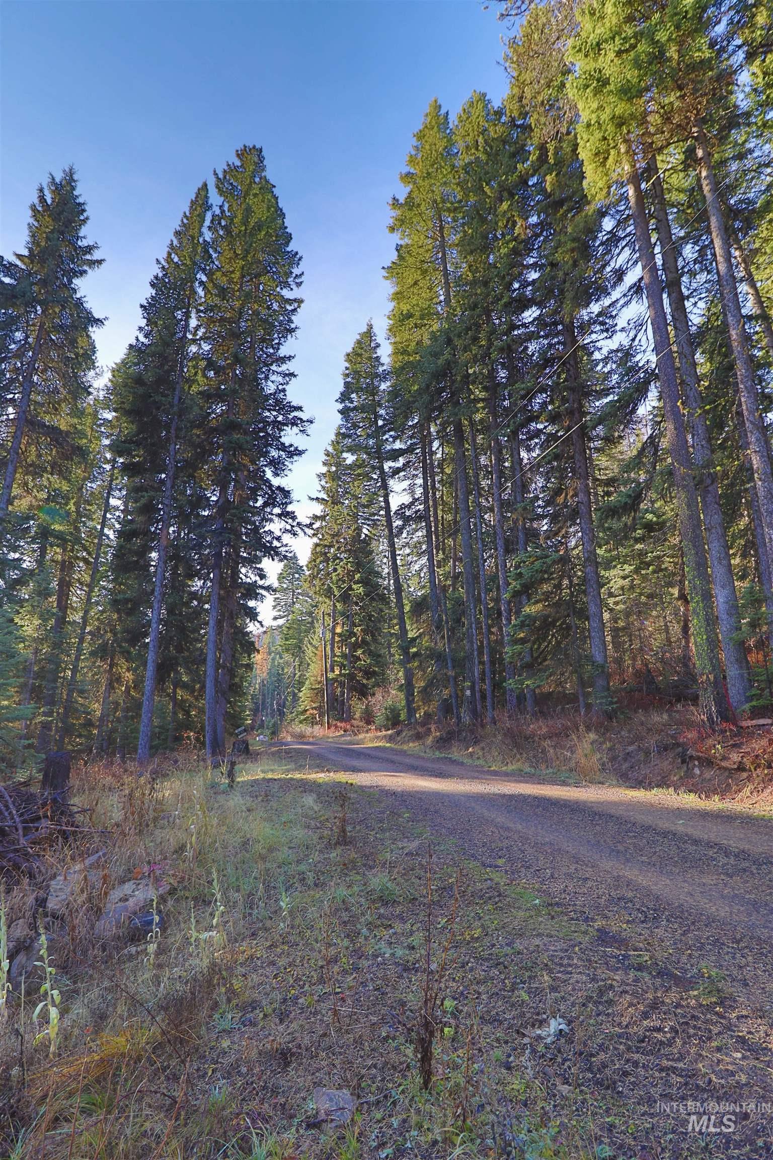 2437 Maverick Rd, Donnelly, Idaho 83615, Land For Sale, Price $3,200,000, 98948772
