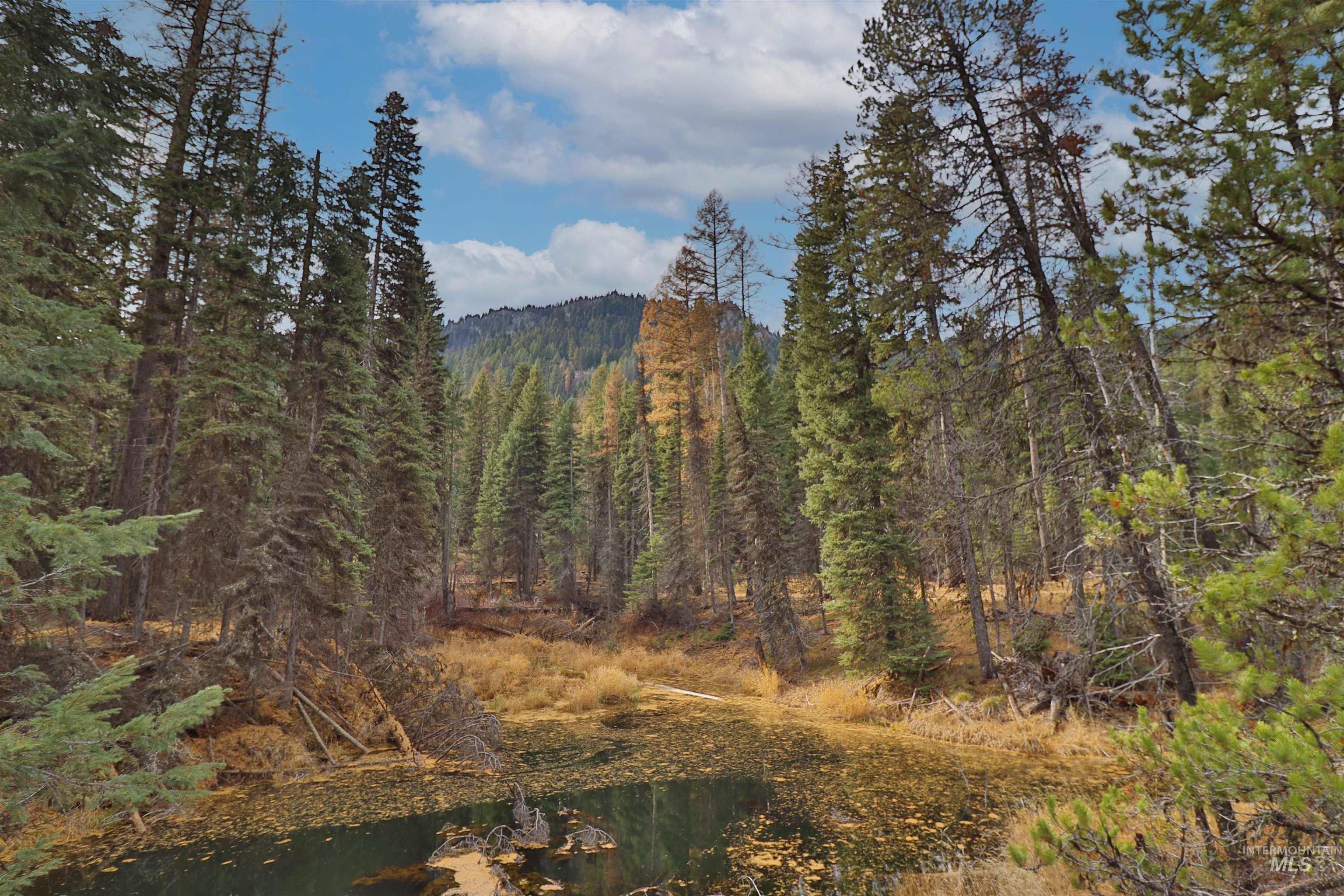 2437 Maverick Rd, Donnelly, Idaho 83615, Land For Sale, Price $3,200,000, 98948772
