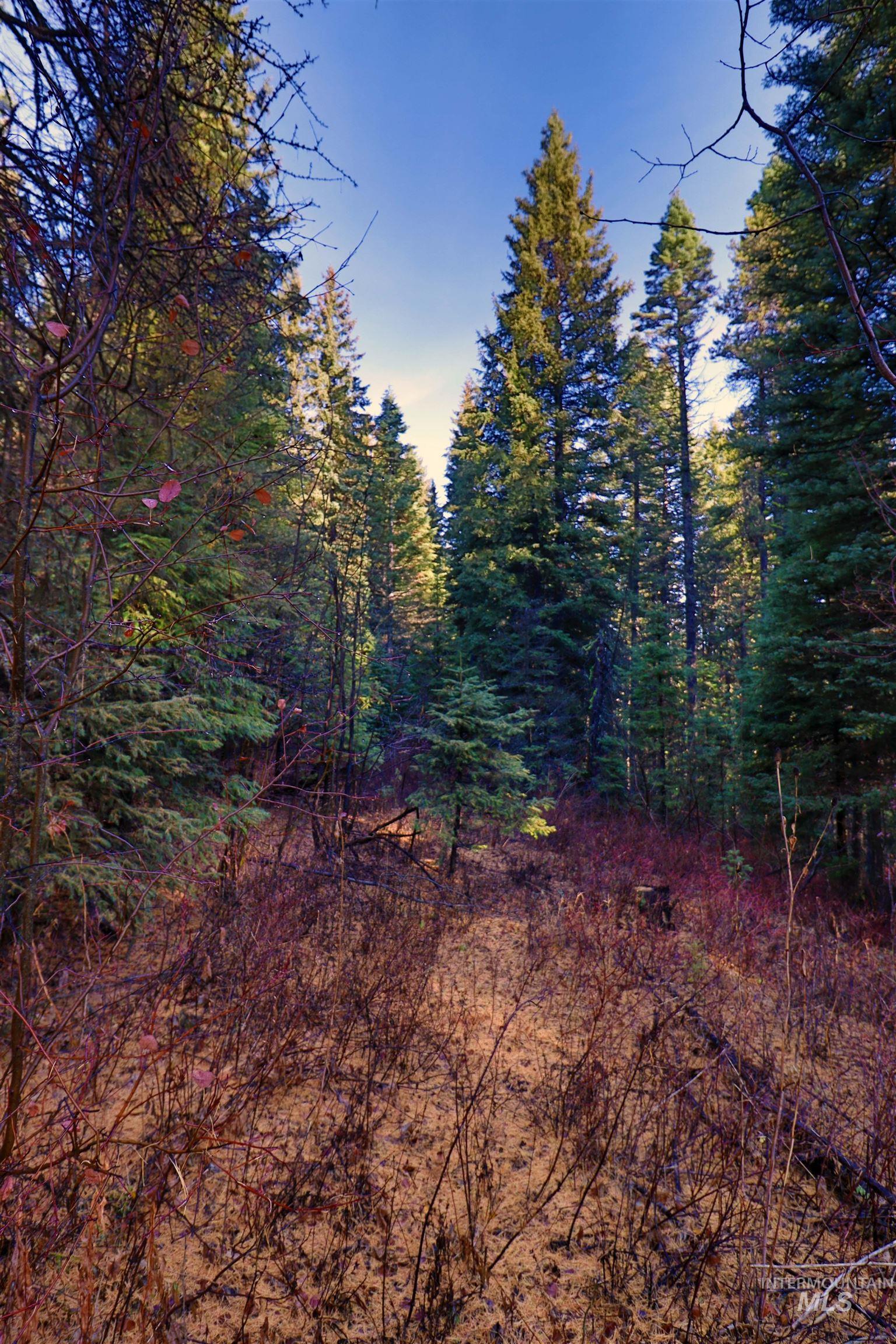 2437 Maverick Rd, Donnelly, Idaho 83615, Land For Sale, Price $3,200,000, 98948772
