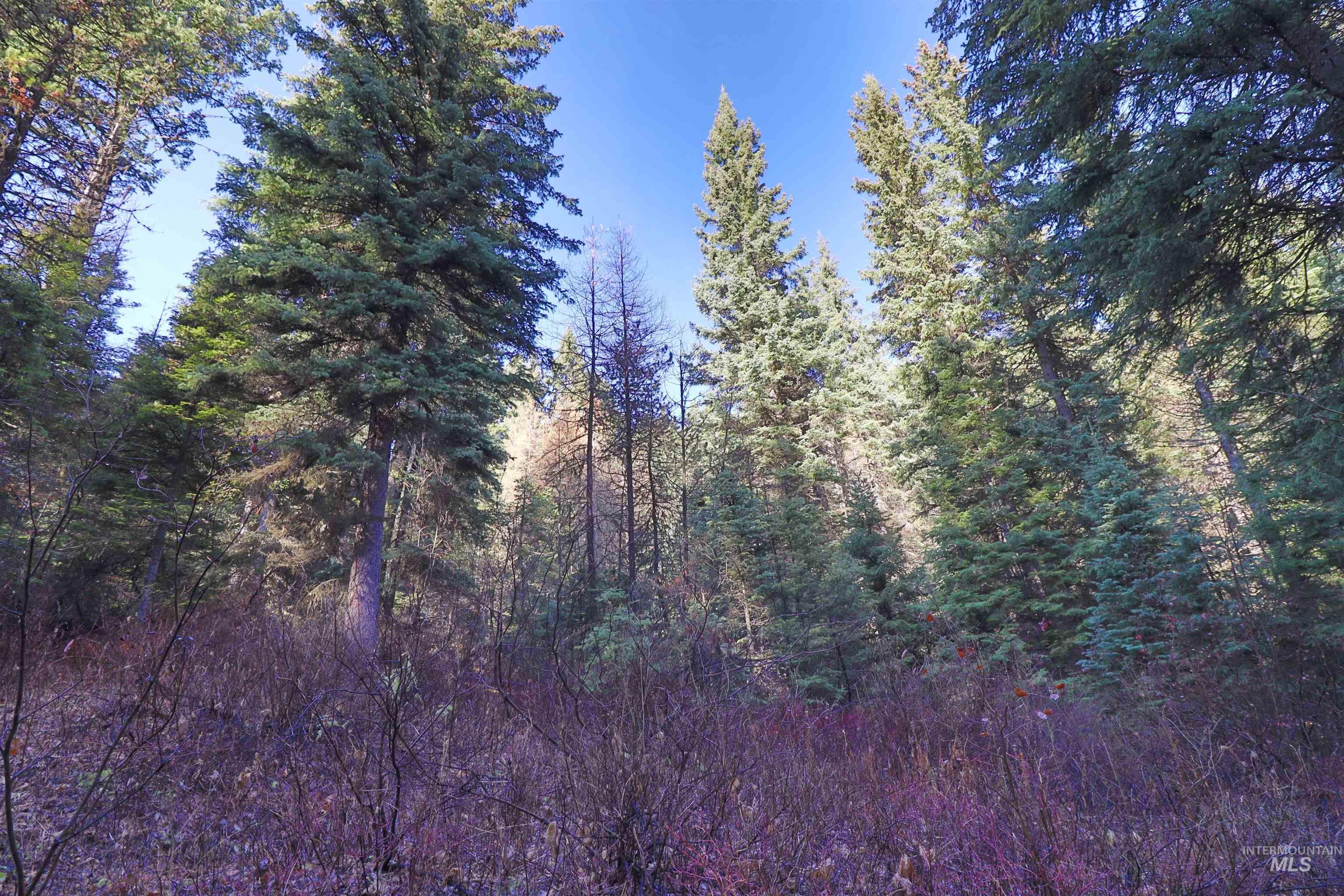 2437 Maverick Rd, Donnelly, Idaho 83615, Land For Sale, Price $3,200,000, 98948772