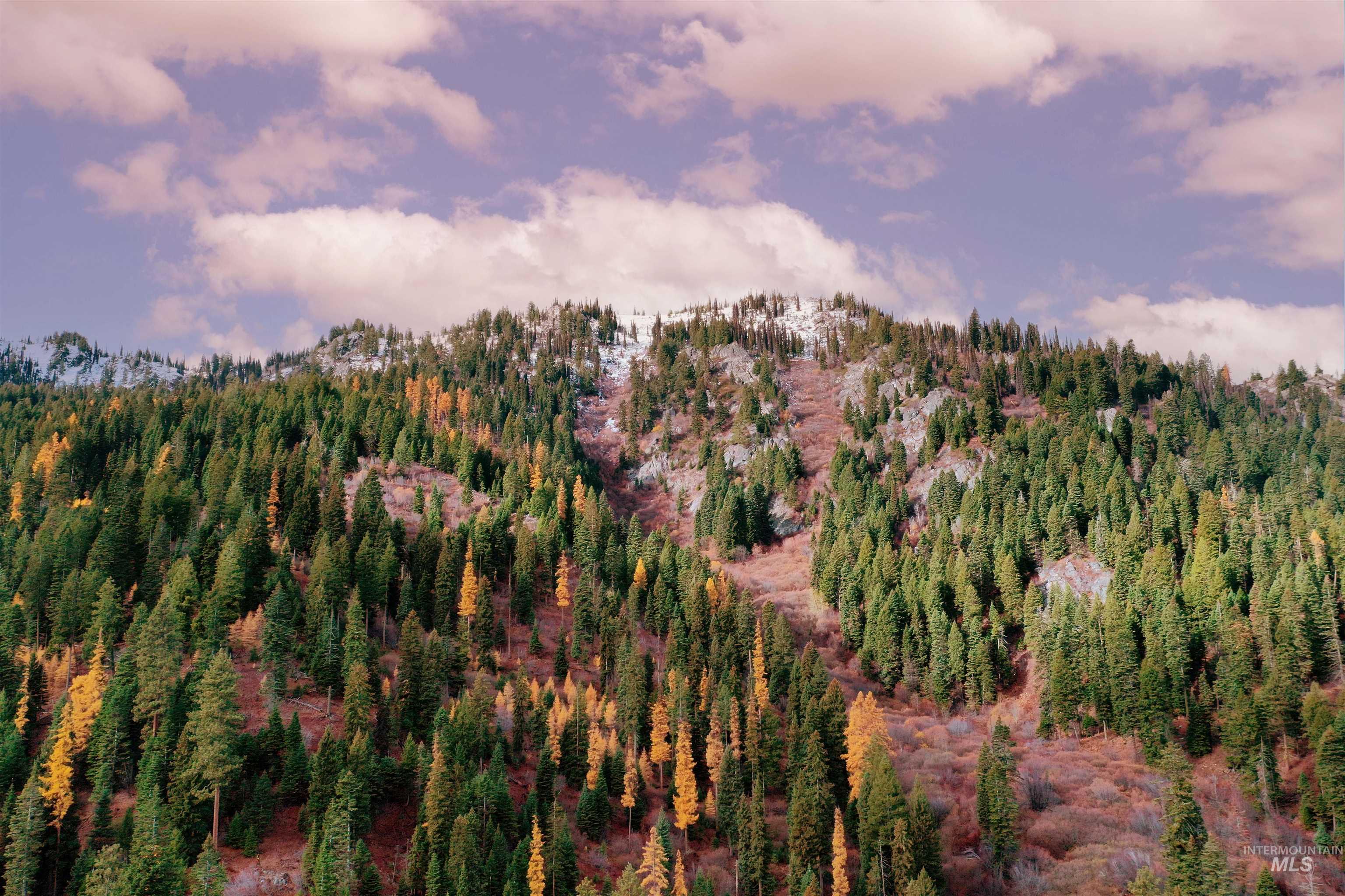2437 Maverick Rd, Donnelly, Idaho 83615, Land For Sale, Price $3,200,000, 98948772