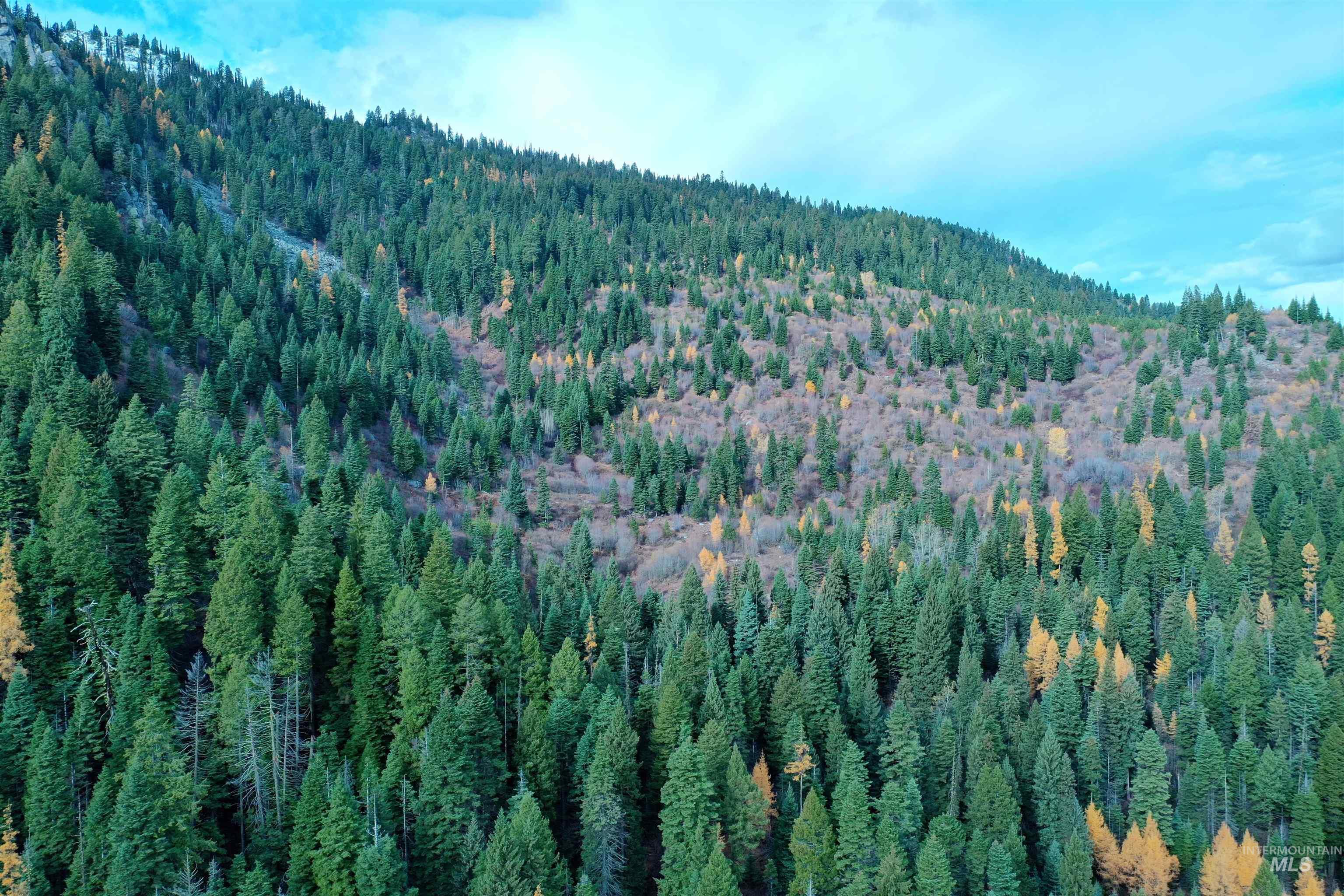 2437 Maverick Rd, Donnelly, Idaho 83615, Land For Sale, Price $3,200,000, 98948772