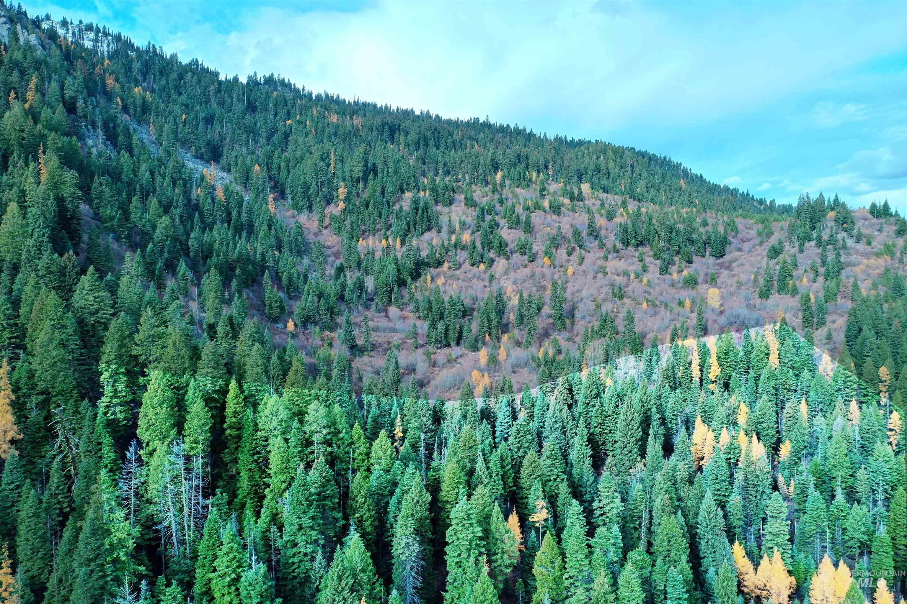 2437 Maverick Rd, Donnelly, Idaho 83615, Land For Sale, Price $3,200,000, 98948772