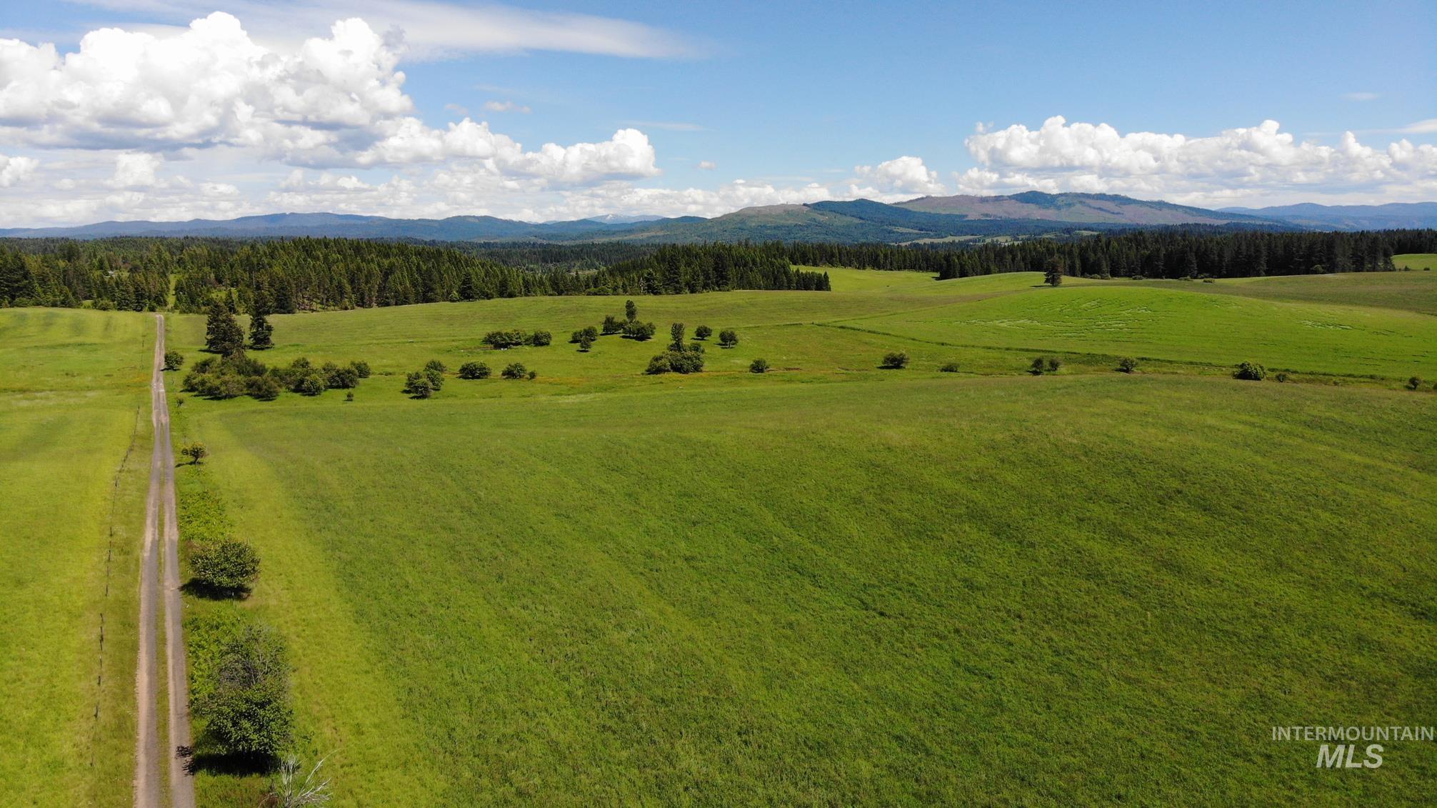 TBD Woodland-Caribel Road, Kamiah, Idaho 83536, Land For Sale, Price $1,168,000,MLS 98948777