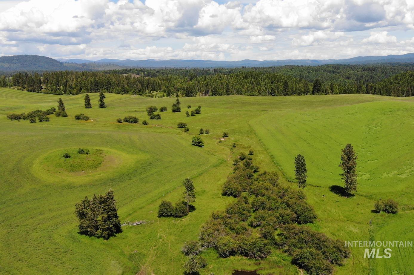 TBD Woodland-Caribel Road, Kamiah, Idaho 83536, Land For Sale, Price $1,168,000, 98948777