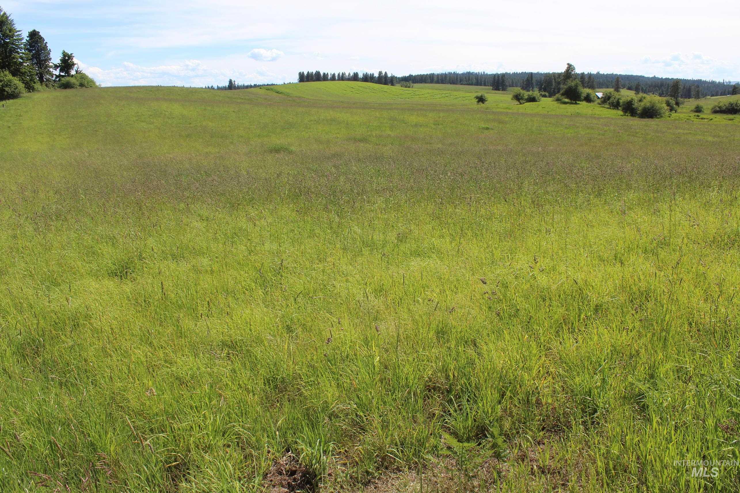 TBD Woodland-Caribel Road, Kamiah, Idaho 83536, Land For Sale, Price $1,168,000, 98948777