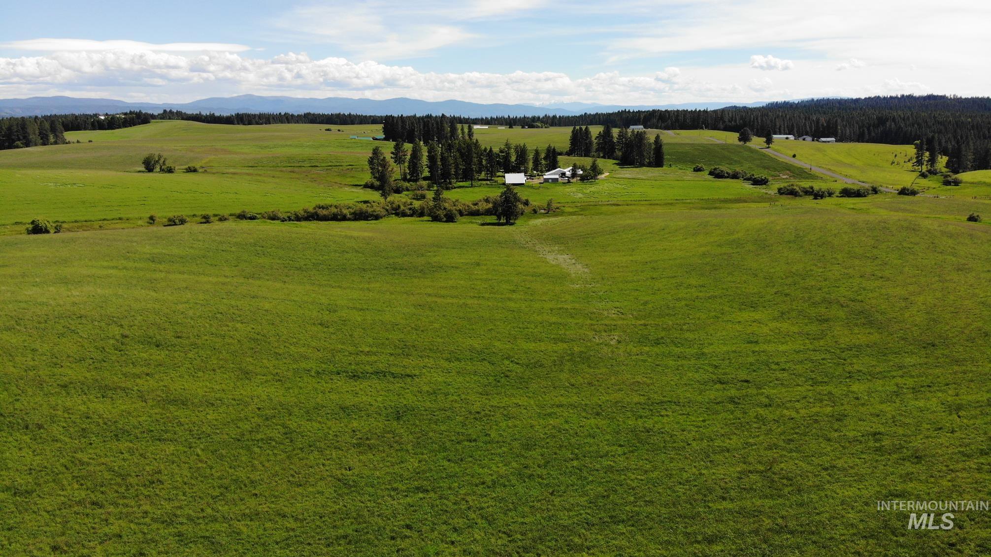 TBD Woodland-Caribel Road, Kamiah, Idaho 83536, Land For Sale, Price $1,168,000, 98948777