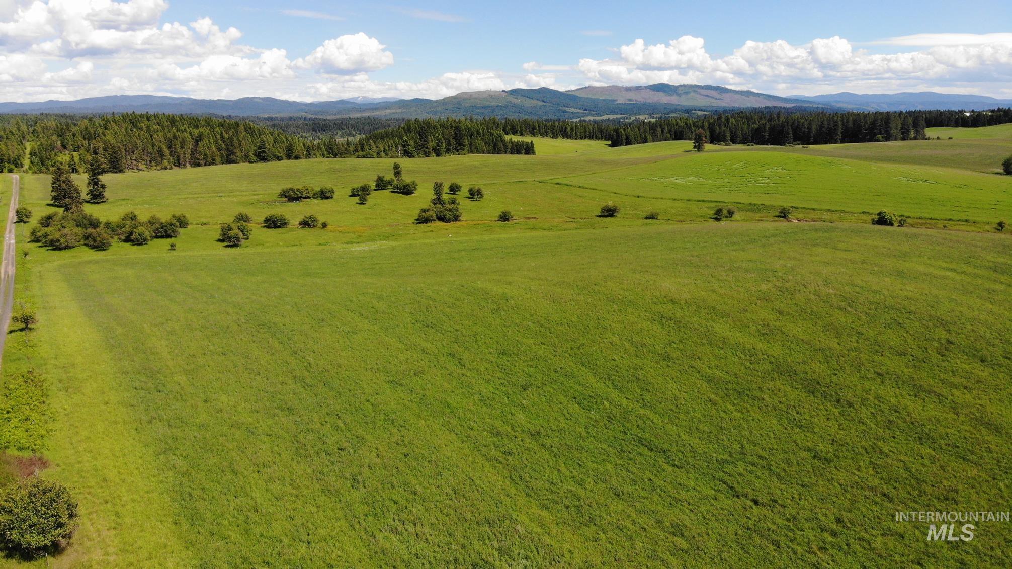 TBD Woodland-Caribel Road, Kamiah, Idaho 83536, Land For Sale, Price $1,168,000, 98948777