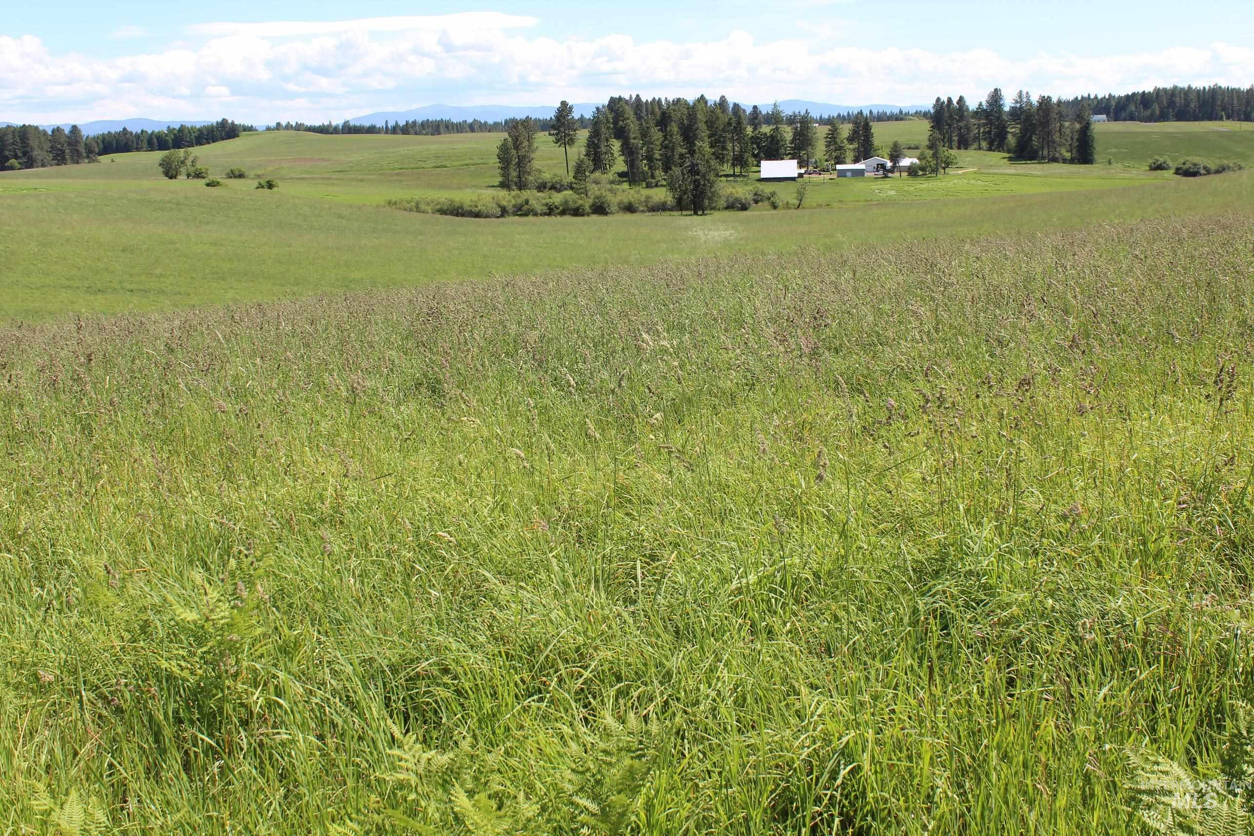 TBD Woodland-Caribel Road, Kamiah, Idaho 83536, Land For Sale, Price $1,168,000, 98948777