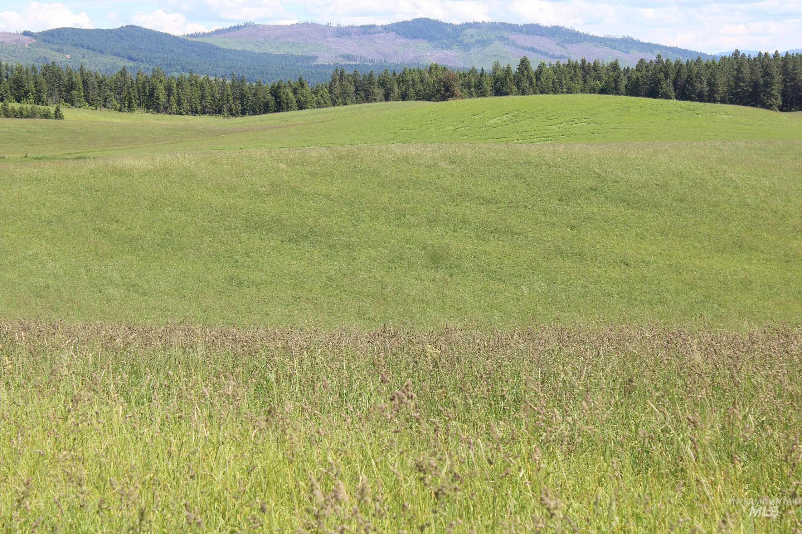 TBD Woodland-Caribel Road, Kamiah, Idaho 83536, Land For Sale, Price $1,168,000, 98948777