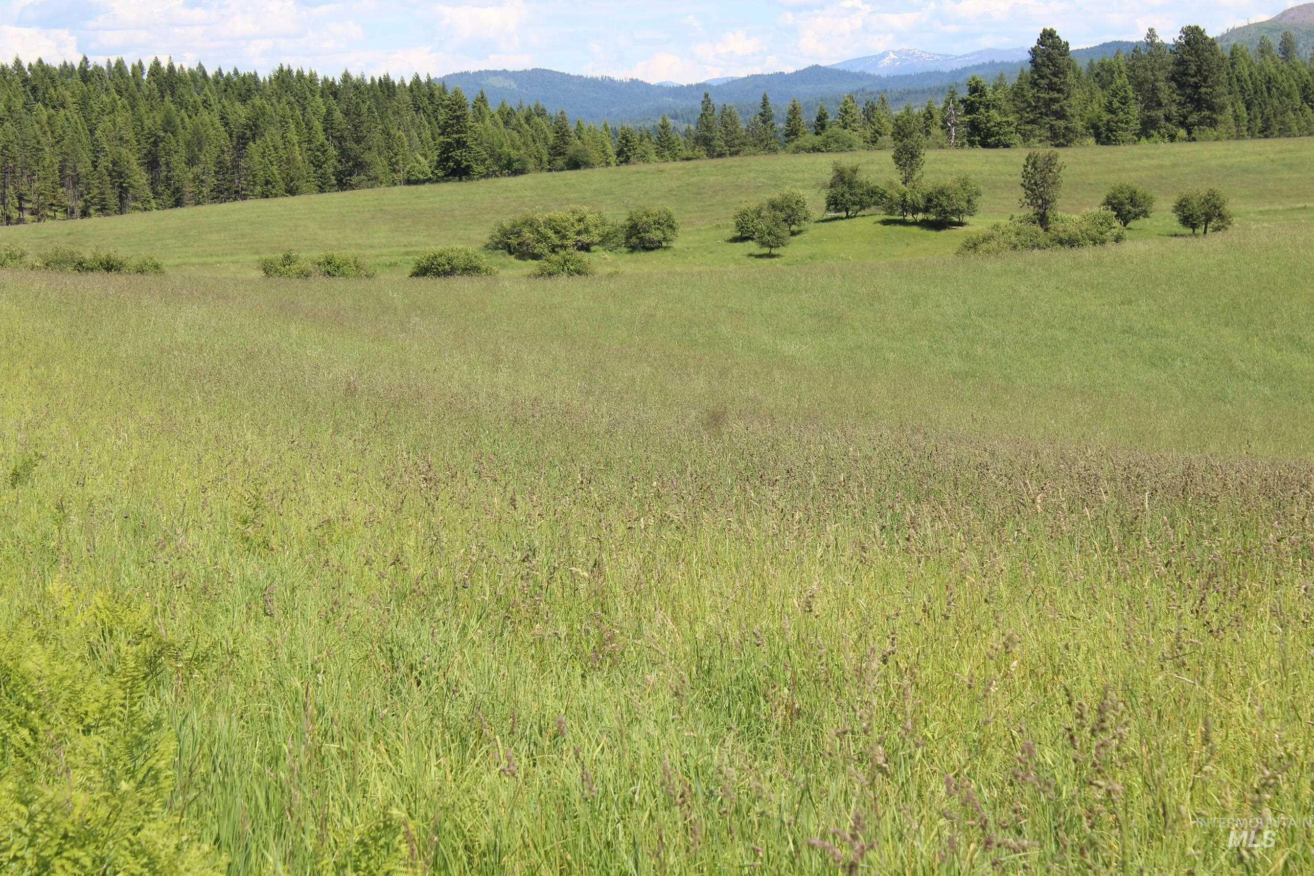 TBD Woodland-Caribel Road, Kamiah, Idaho 83536, Land For Sale, Price $1,168,000, 98948777