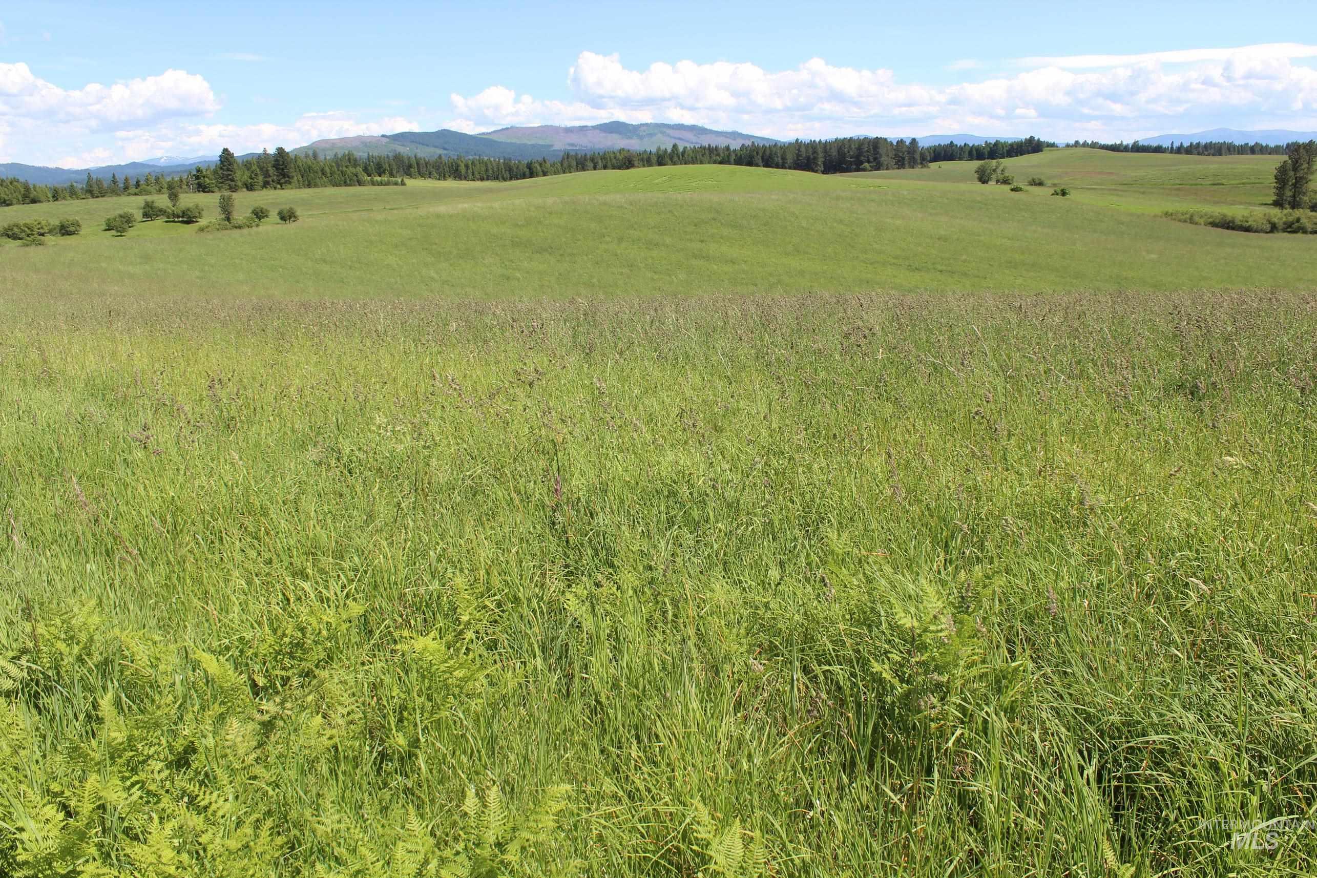 TBD Woodland-Caribel Road, Kamiah, Idaho 83536, Land For Sale, Price $1,168,000, 98948777