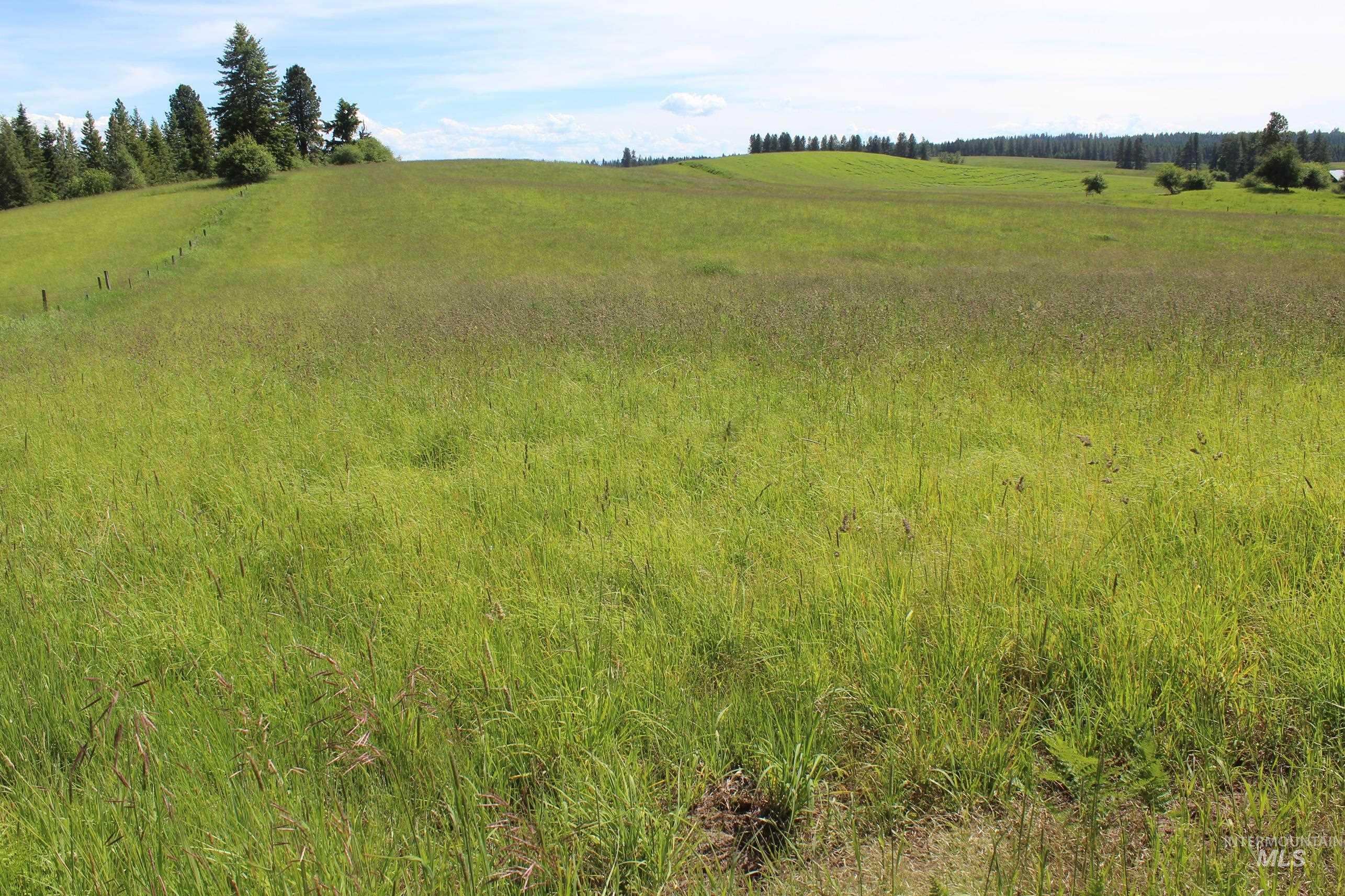 TBD Woodland-Caribel Road, Kamiah, Idaho 83536, Land For Sale, Price $1,168,000, 98948777