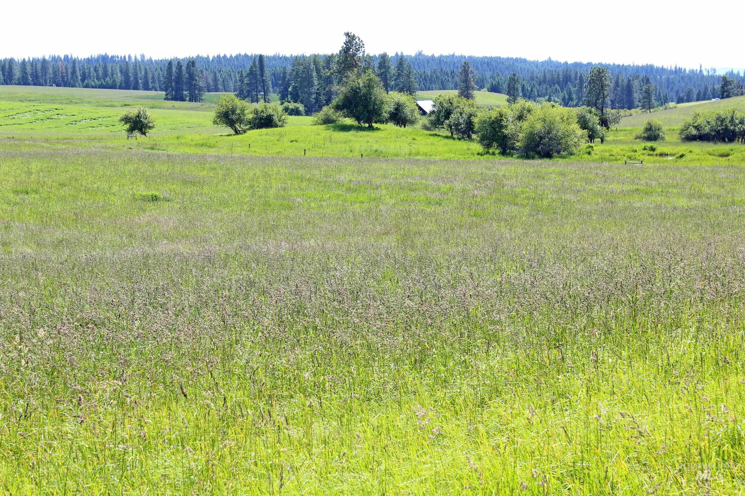 TBD Woodland-Caribel Road, Kamiah, Idaho 83536, Land For Sale, Price $1,168,000, 98948777