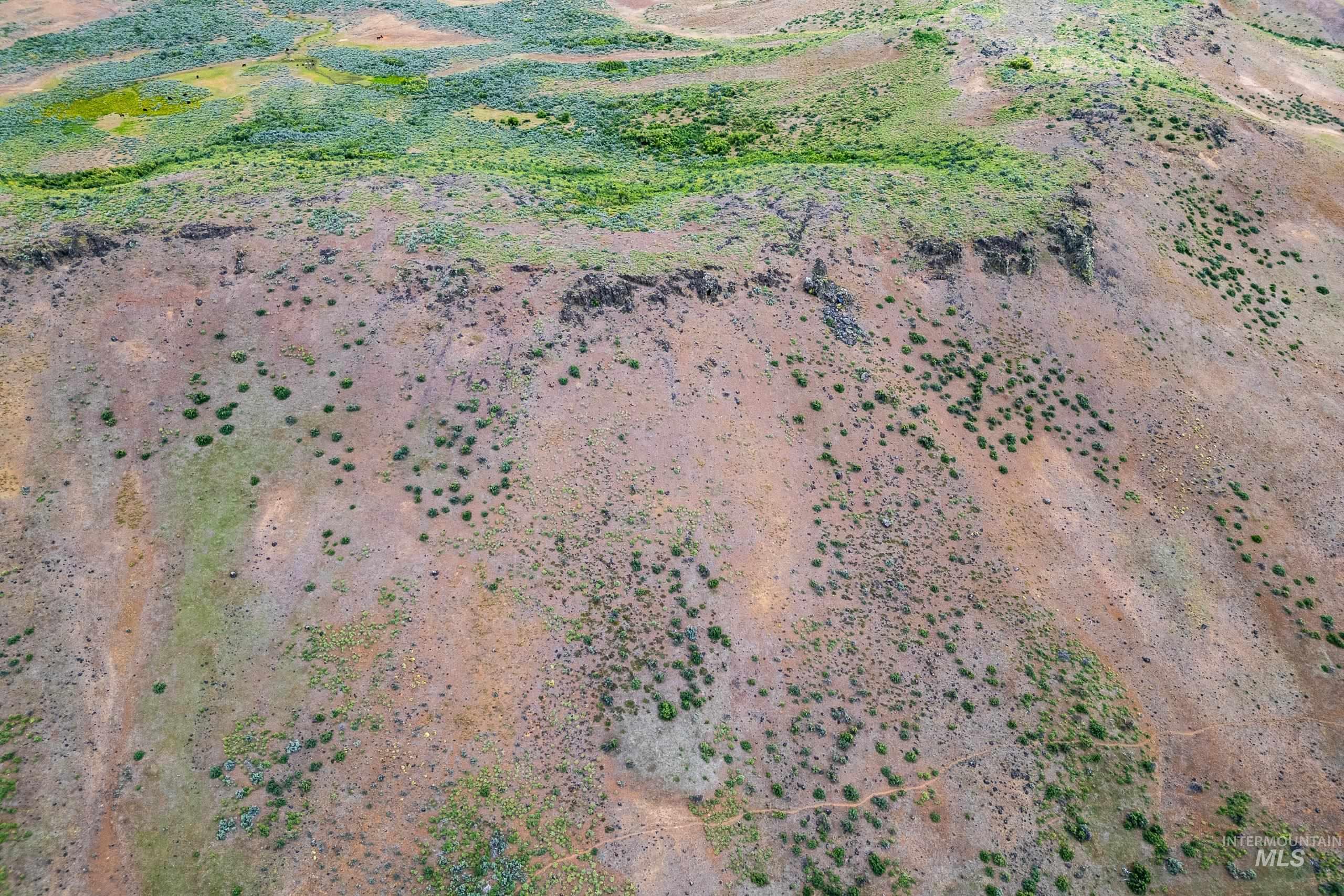 TBD Goodrich Rd, Council, Idaho 83612, Land For Sale, Price $250,000, 98948793