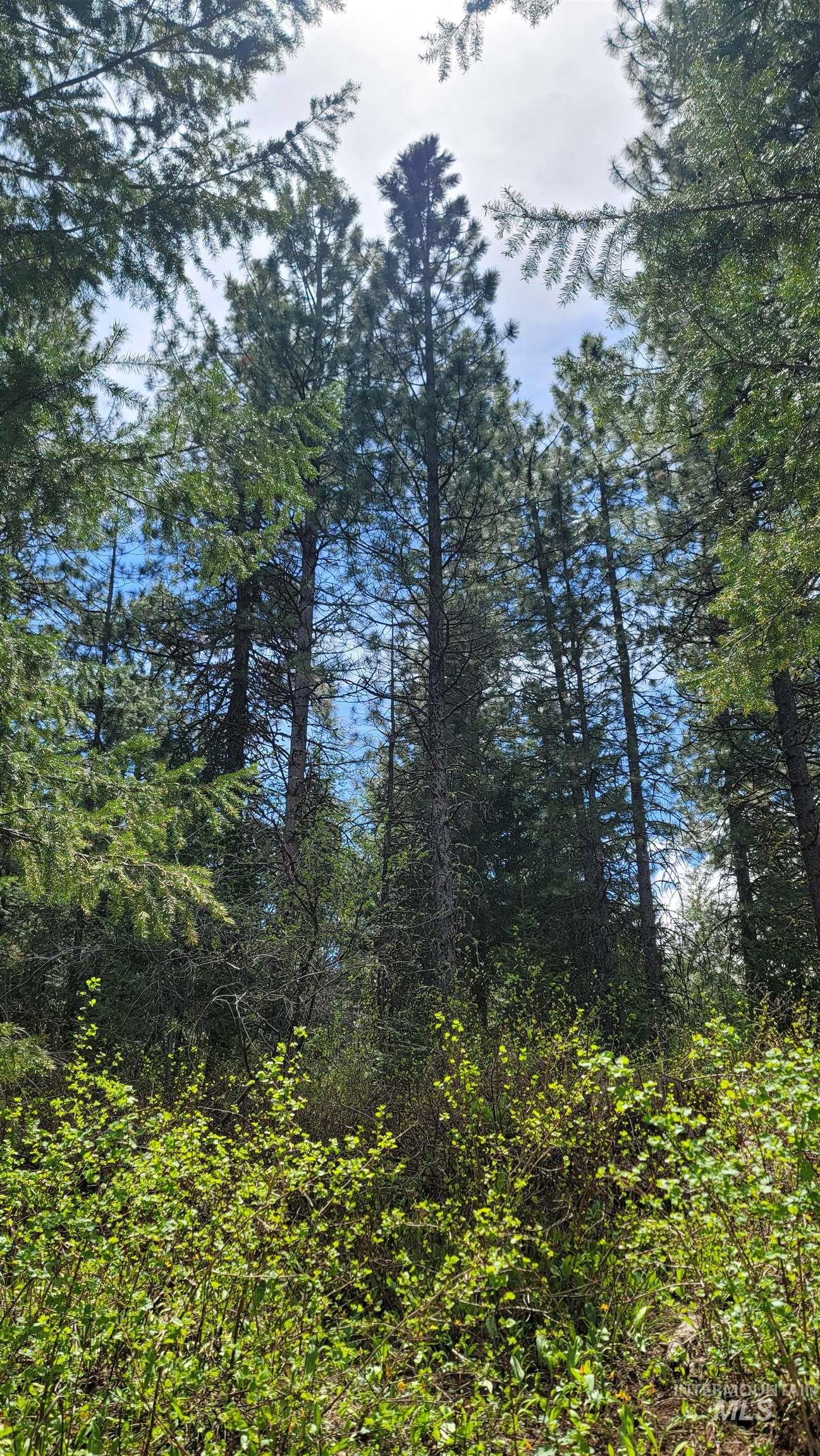 2488 Lappin Lane, Council, Idaho 83612, 3 Bedrooms, 2 Bathrooms, Residential For Sale, Price $1,700,000, 98948902