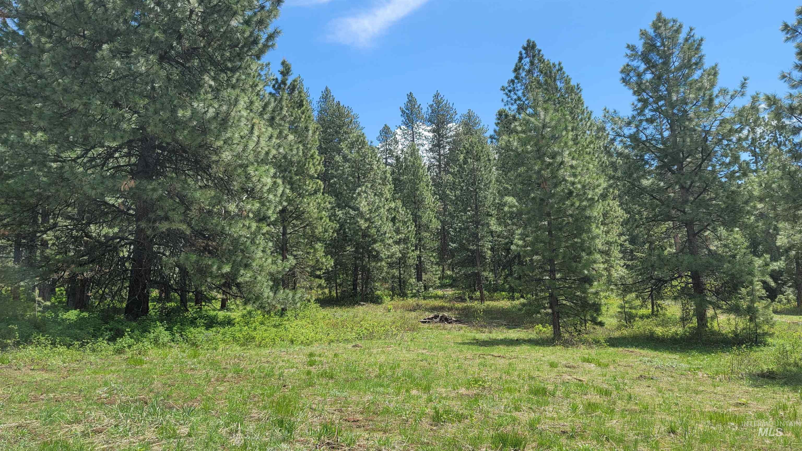 2488 Lappin Lane, Council, Idaho 83612, 3 Bedrooms, 2 Bathrooms, Residential For Sale, Price $1,700,000, 98948902