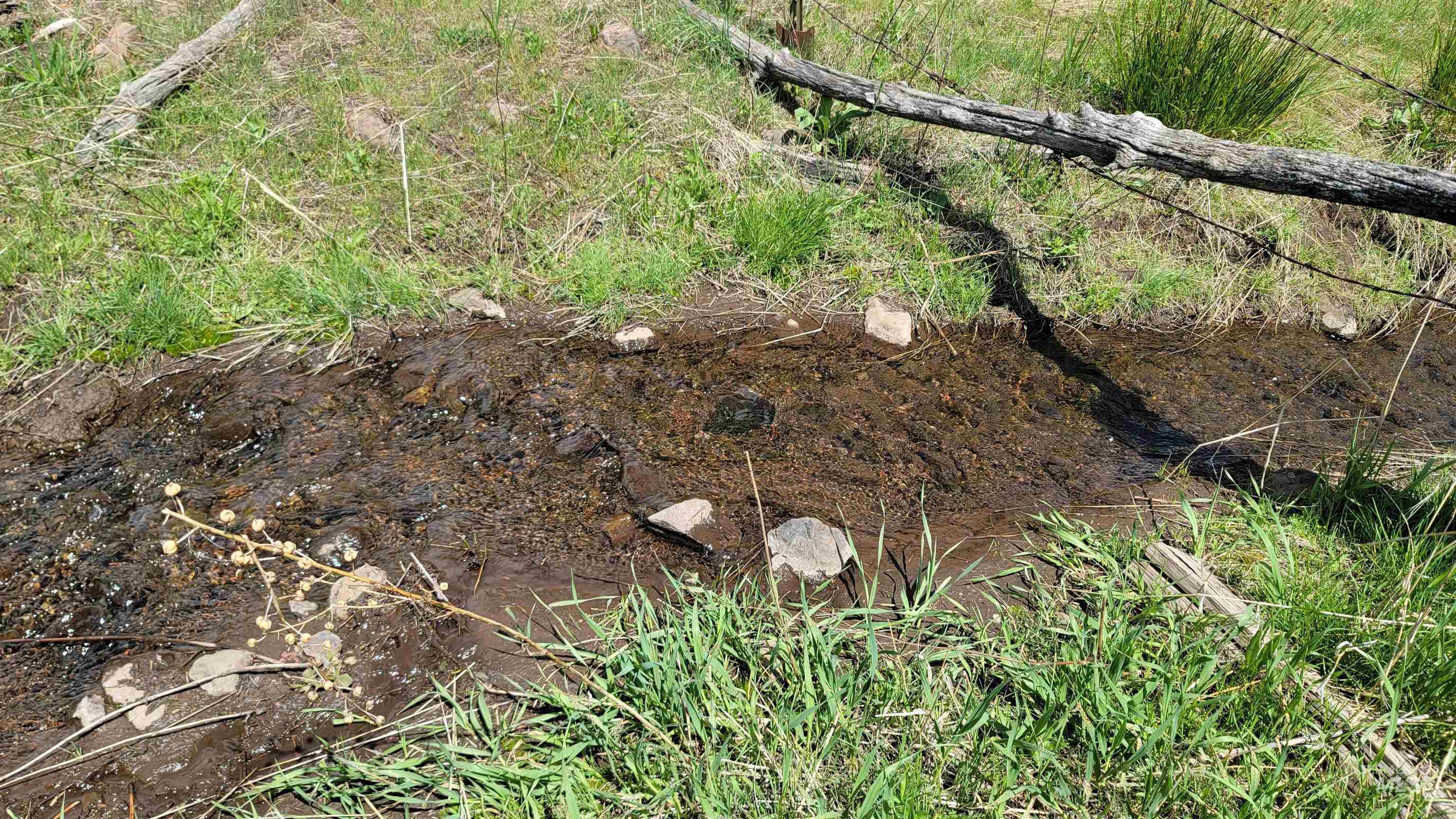 2488 Lappin Lane, Council, Idaho 83612, 3 Bedrooms, 2 Bathrooms, Residential For Sale, Price $1,700,000, 98948902