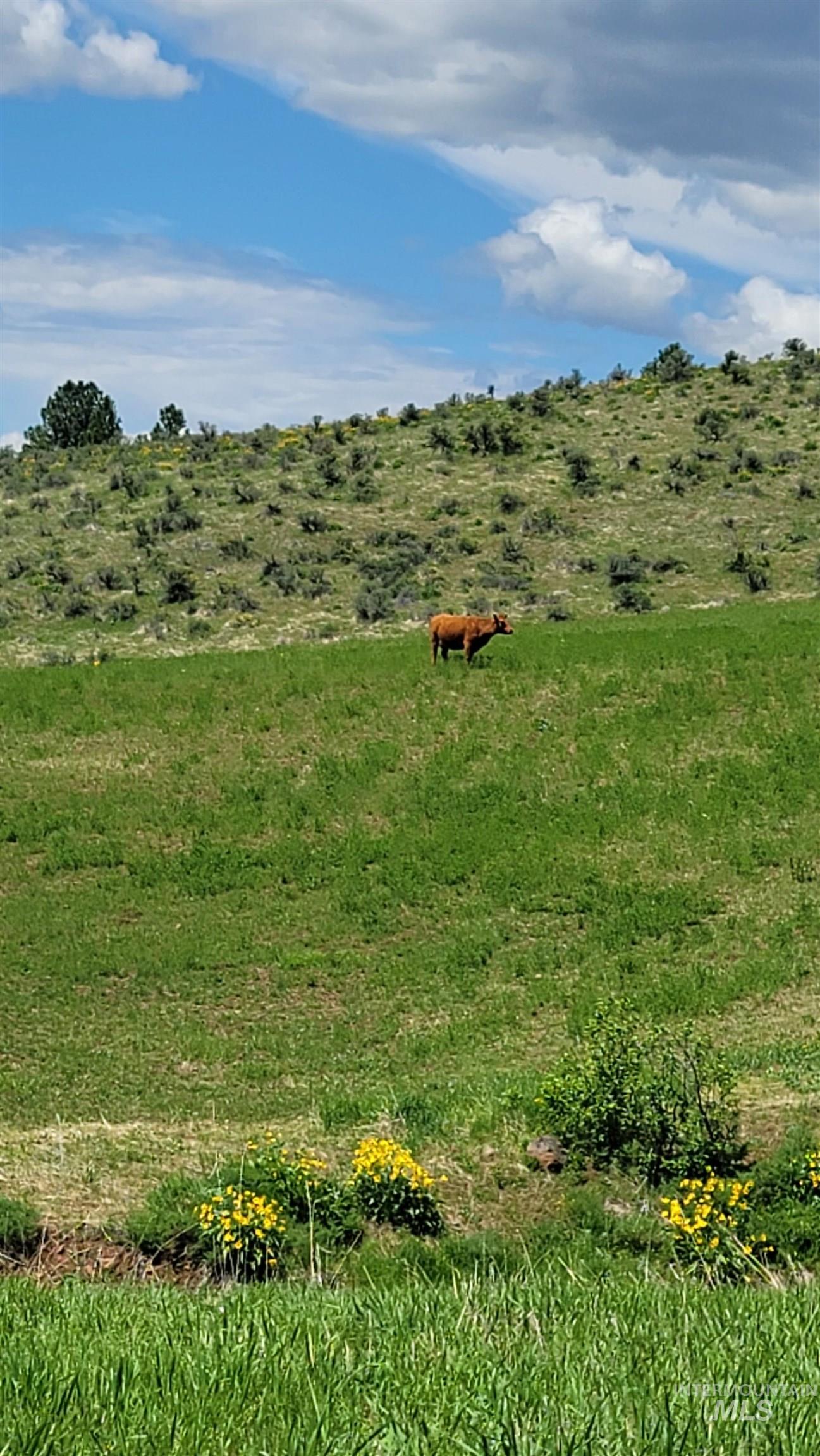 2488 Lappin Lane, Council, Idaho 83612, 3 Bedrooms, 2 Bathrooms, Residential For Sale, Price $1,700,000, 98948902