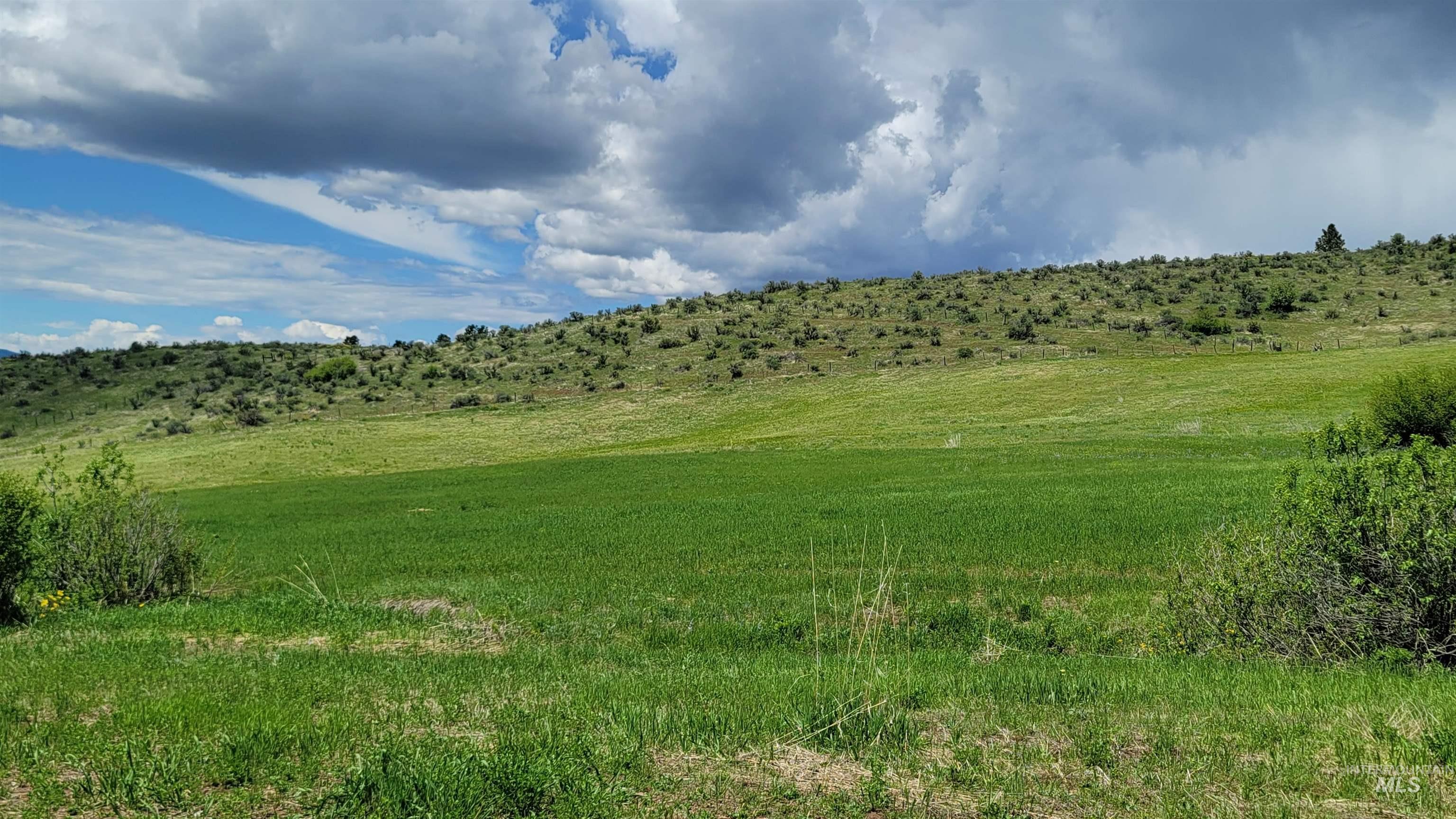 2488 Lappin Lane, Council, Idaho 83612, 3 Bedrooms, 2 Bathrooms, Residential For Sale, Price $1,700,000, 98948902