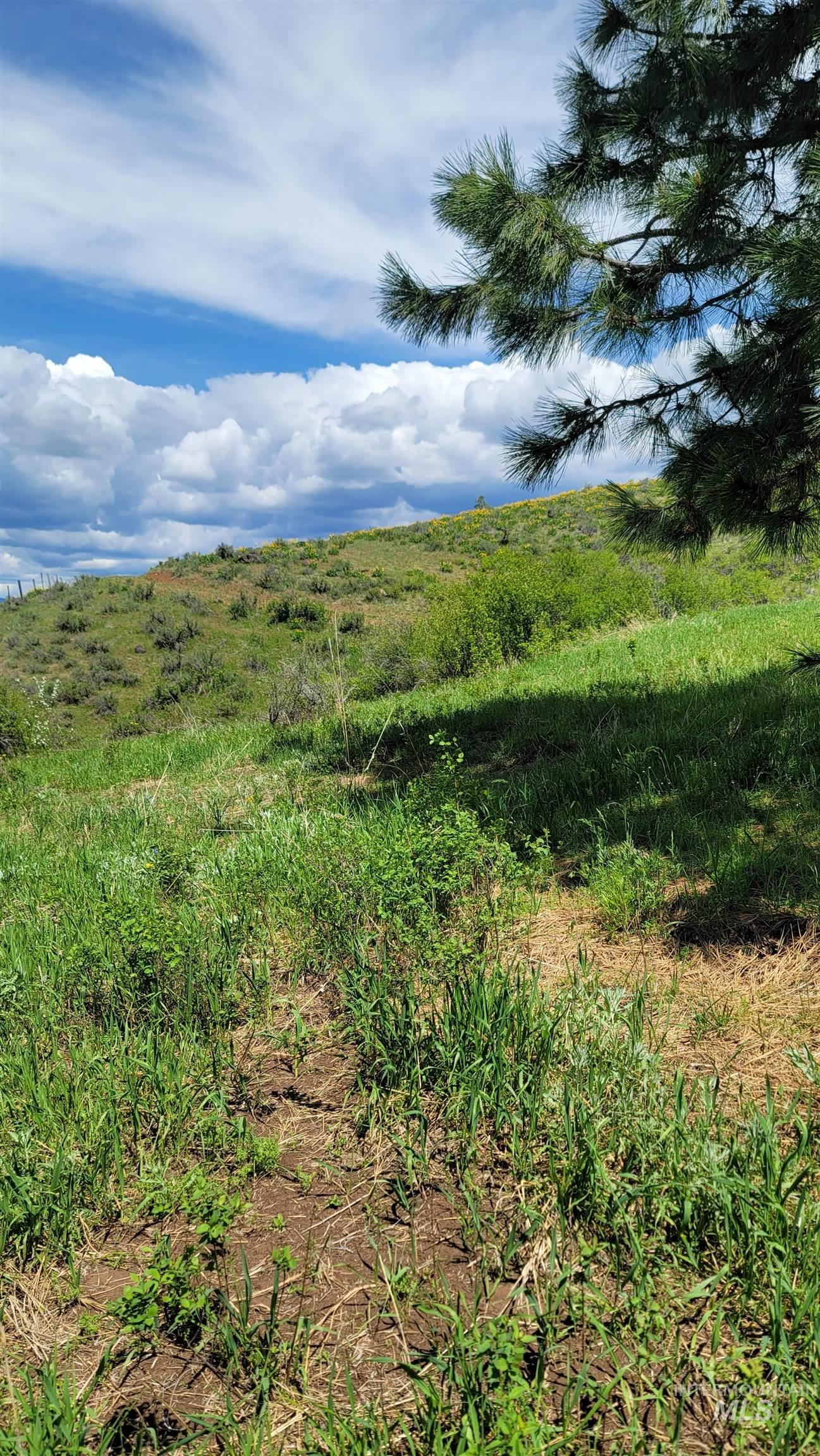 2488 Lappin Lane, Council, Idaho 83612, 3 Bedrooms, 2 Bathrooms, Residential For Sale, Price $1,700,000, 98948902