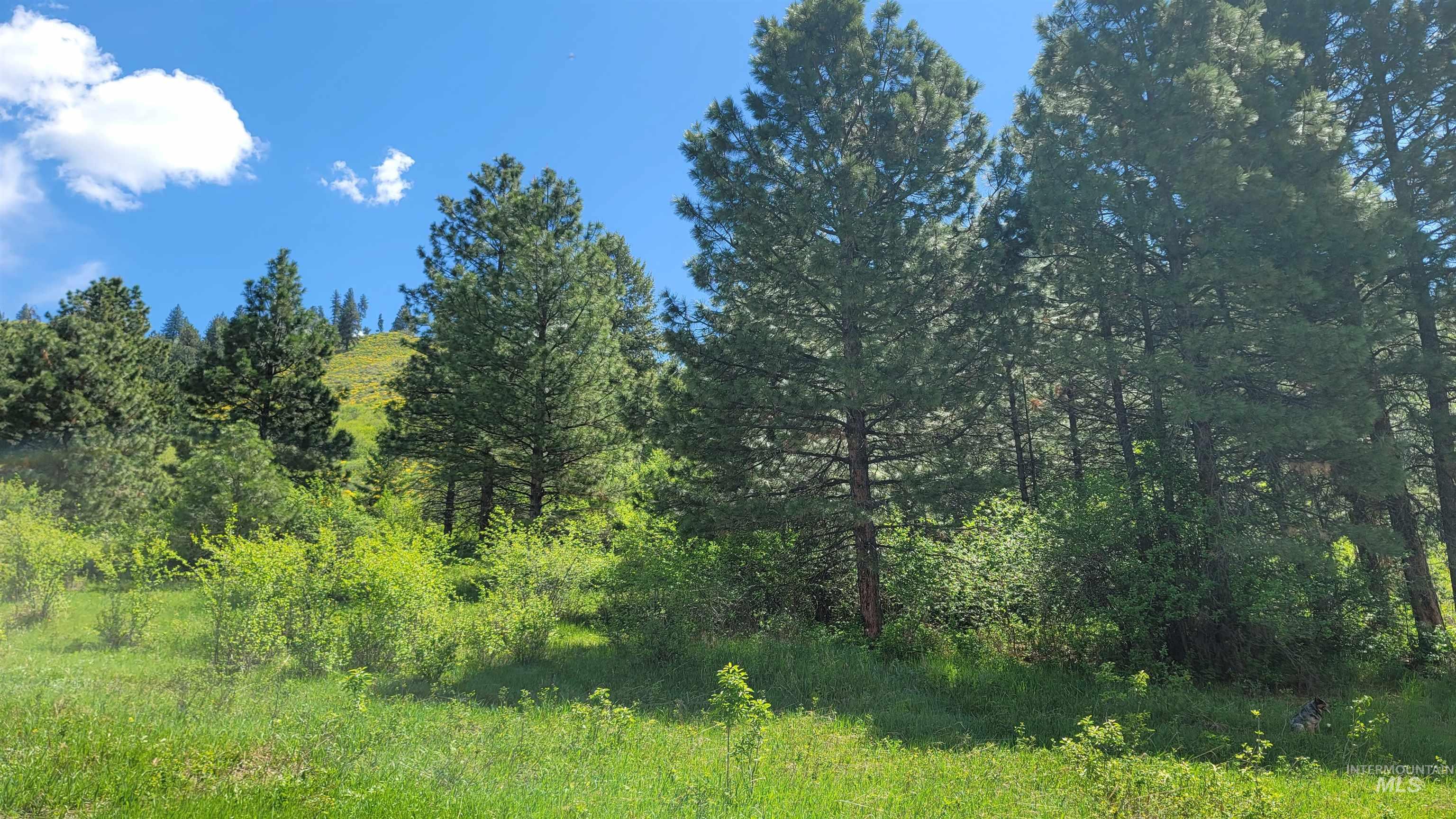 2488 Lappin Lane, Council, Idaho 83612, 3 Bedrooms, 2 Bathrooms, Residential For Sale, Price $1,700,000, 98948902