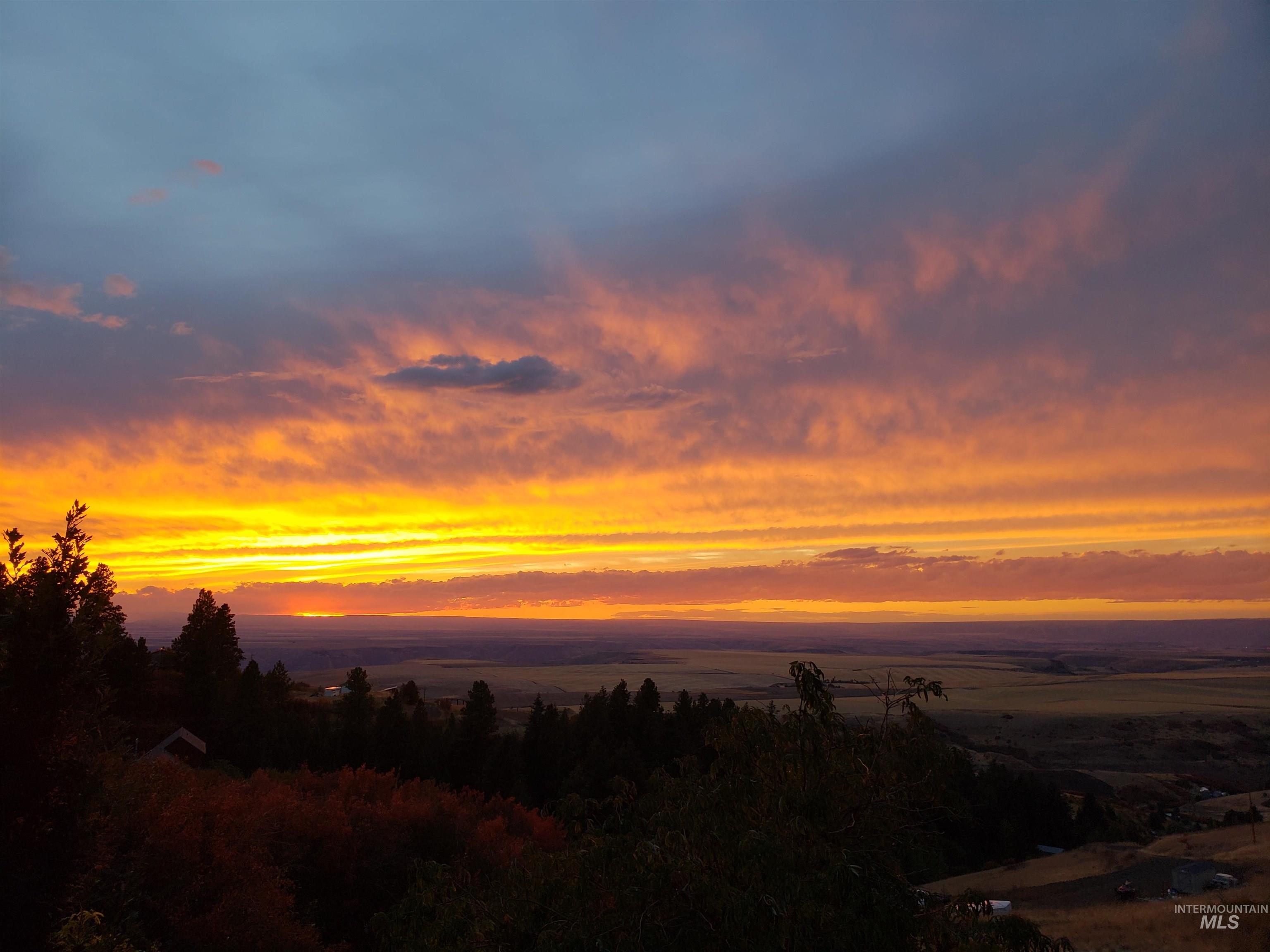 View of undeveloped land