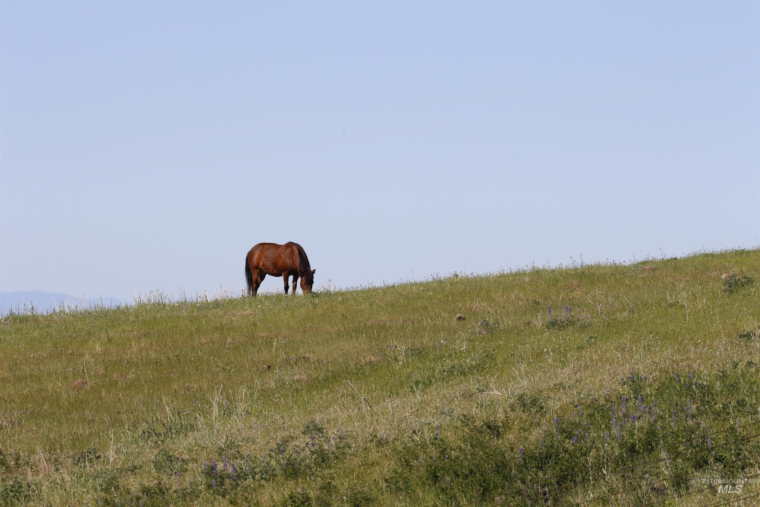 39055 Hilltop Ln, Lewiston, Idaho 83501, 3 Bedrooms, 2 Bathrooms, Residential For Sale, Price $495,000, 98948907