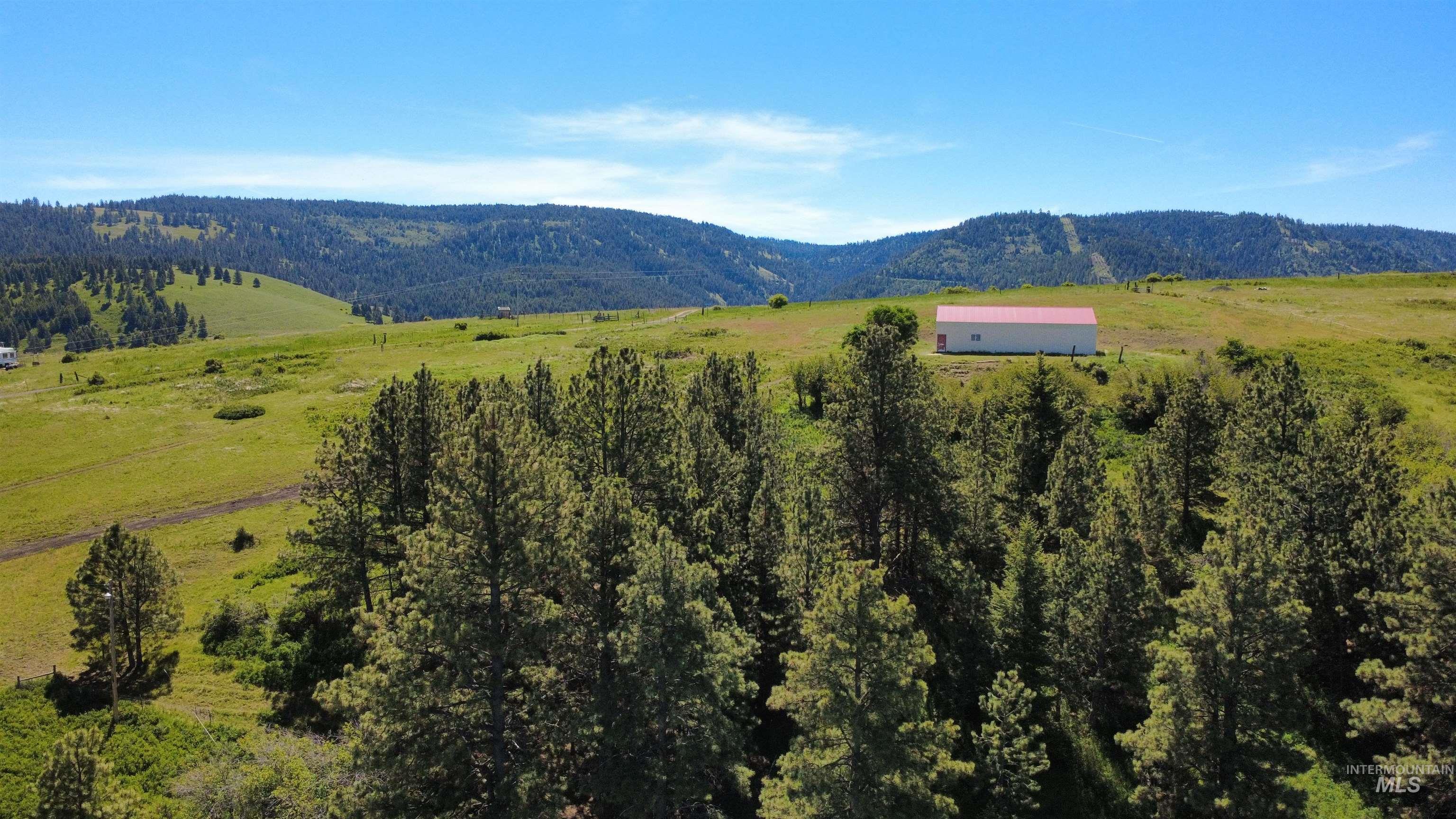 39055 Hilltop Ln, Lewiston, Idaho 83501, 3 Bedrooms, 2 Bathrooms, Residential For Sale, Price $495,000, 98948907