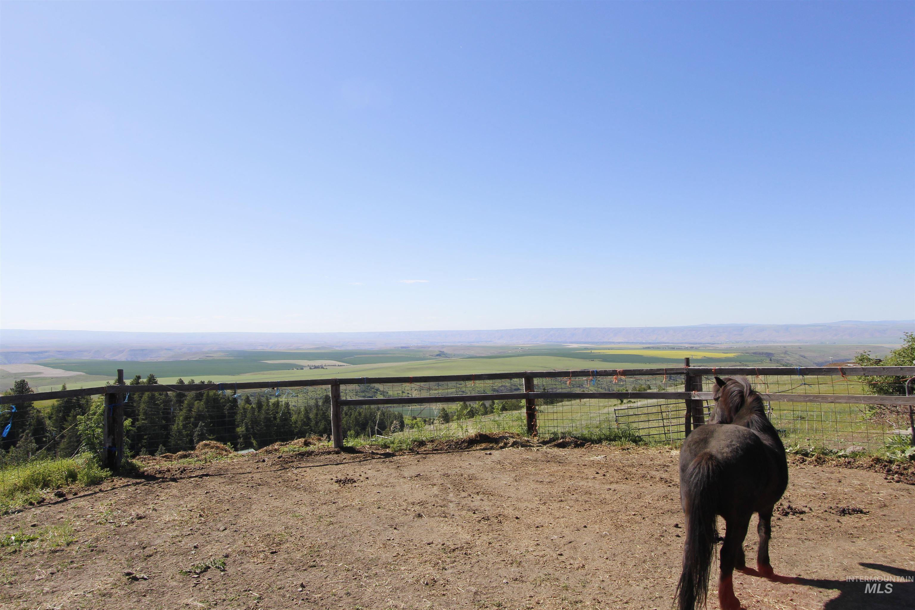 39055 Hilltop Ln, Lewiston, Idaho 83501, 3 Bedrooms, 2 Bathrooms, Residential For Sale, Price $495,000, 98948907