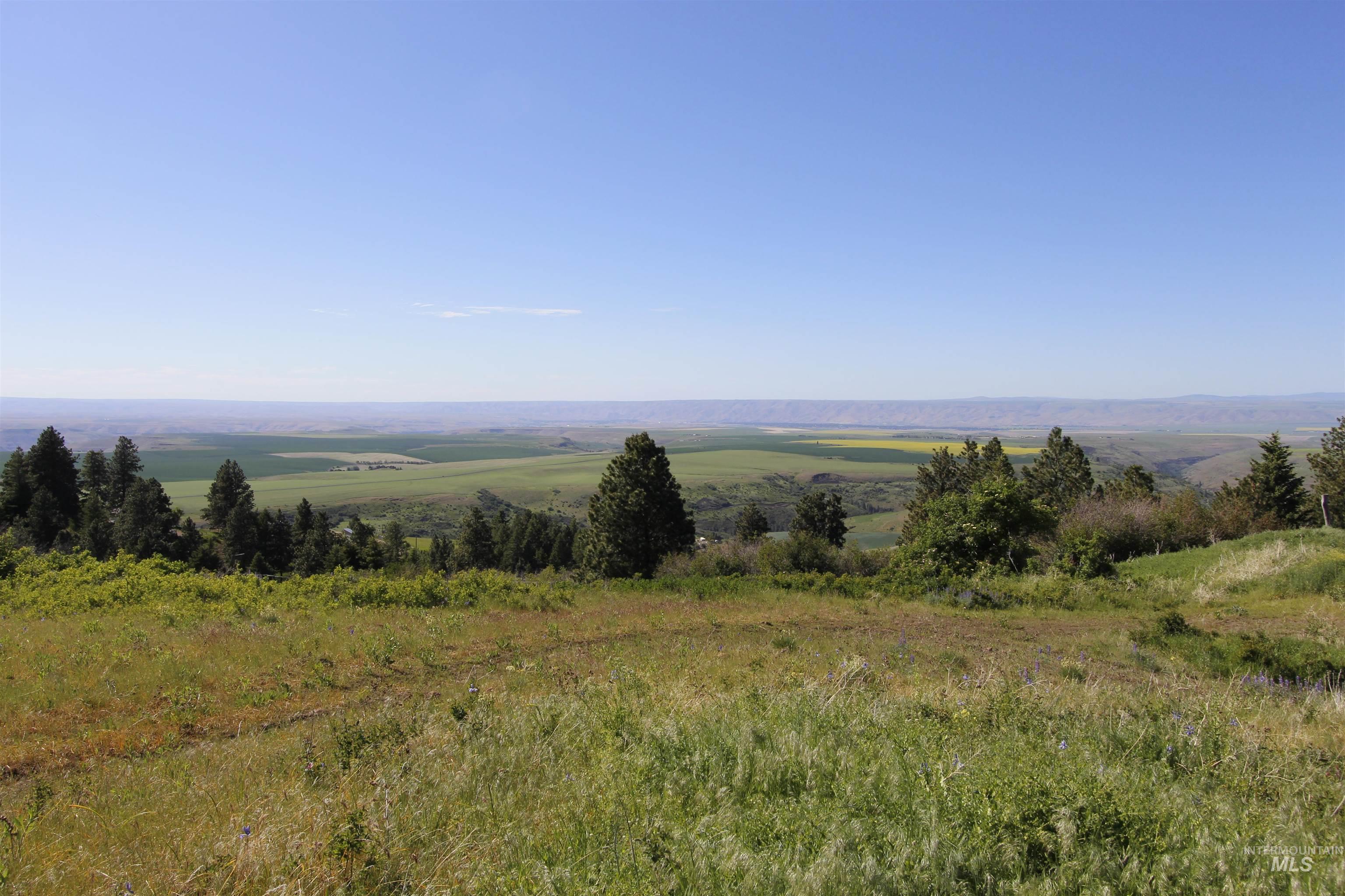 39055 Hilltop Ln, Lewiston, Idaho 83501, 3 Bedrooms, 2 Bathrooms, Residential For Sale, Price $495,000, 98948907