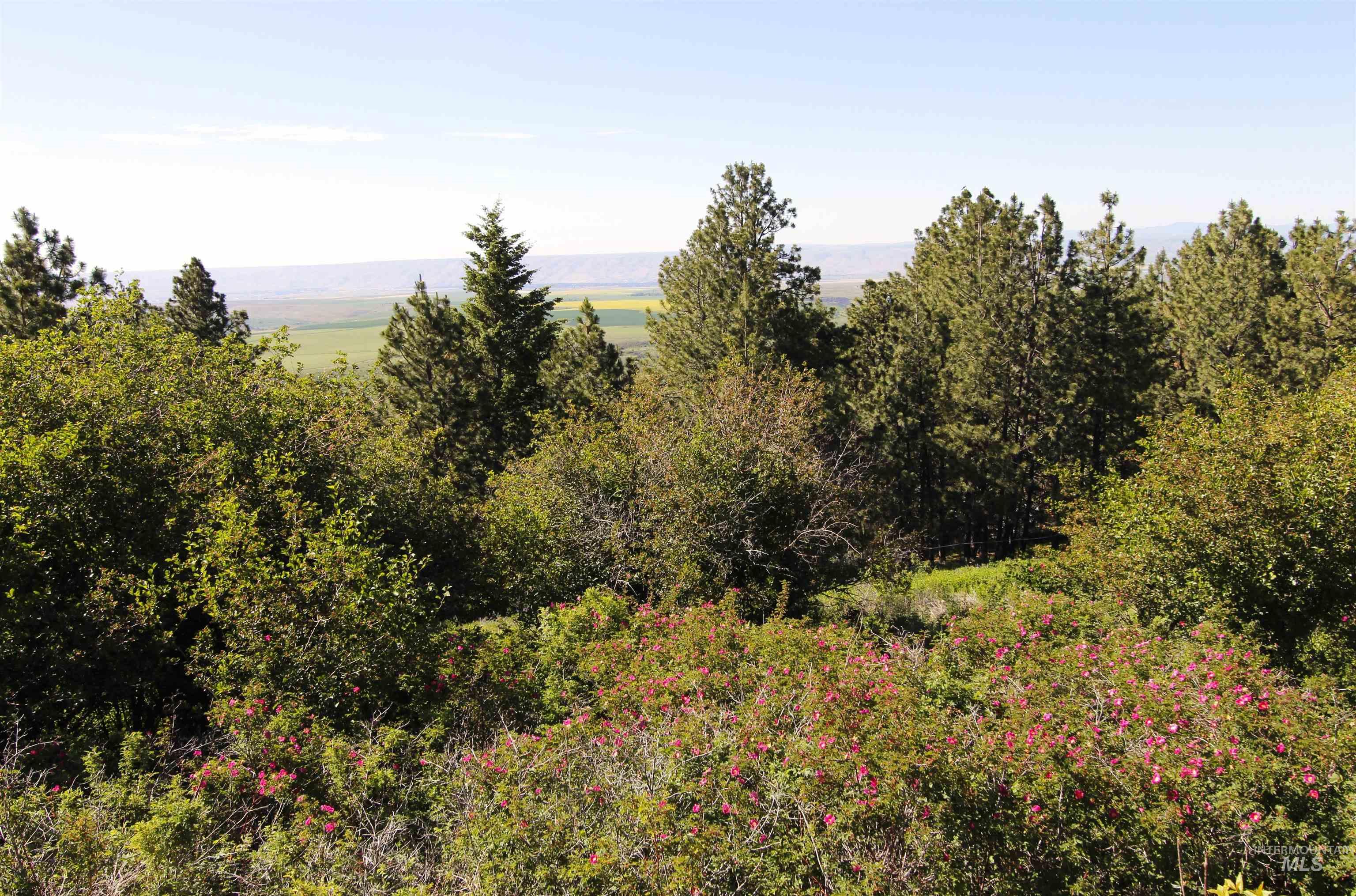 39055 Hilltop Ln, Lewiston, Idaho 83501, 3 Bedrooms, 2 Bathrooms, Residential For Sale, Price $495,000, 98948907